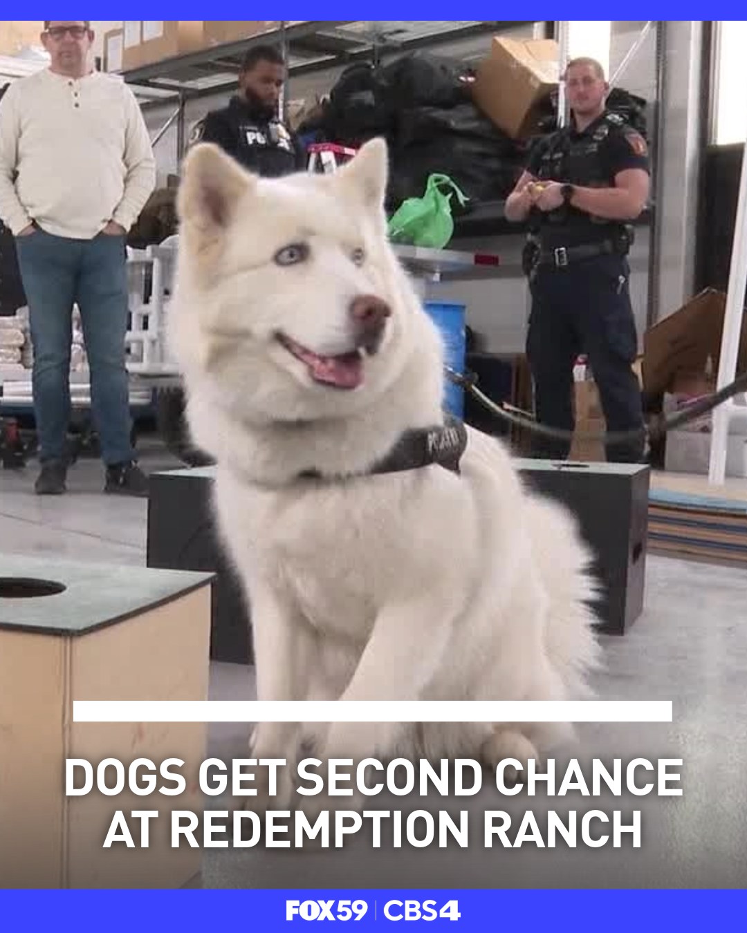 FOX59 - Redemption Ranch is turning shelter dogs into K-9 officers ...