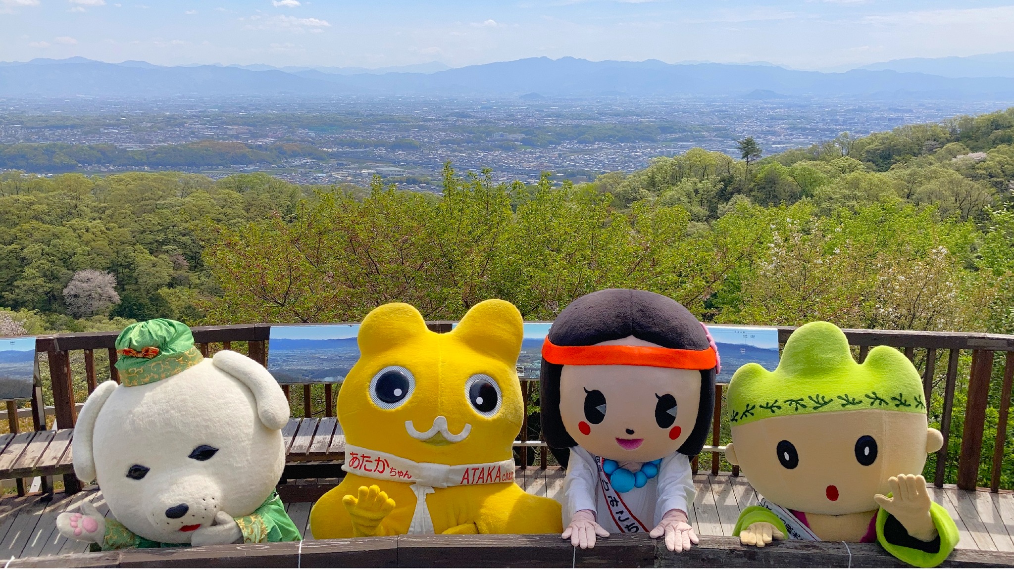 ゆき まろ ちゃん 事件