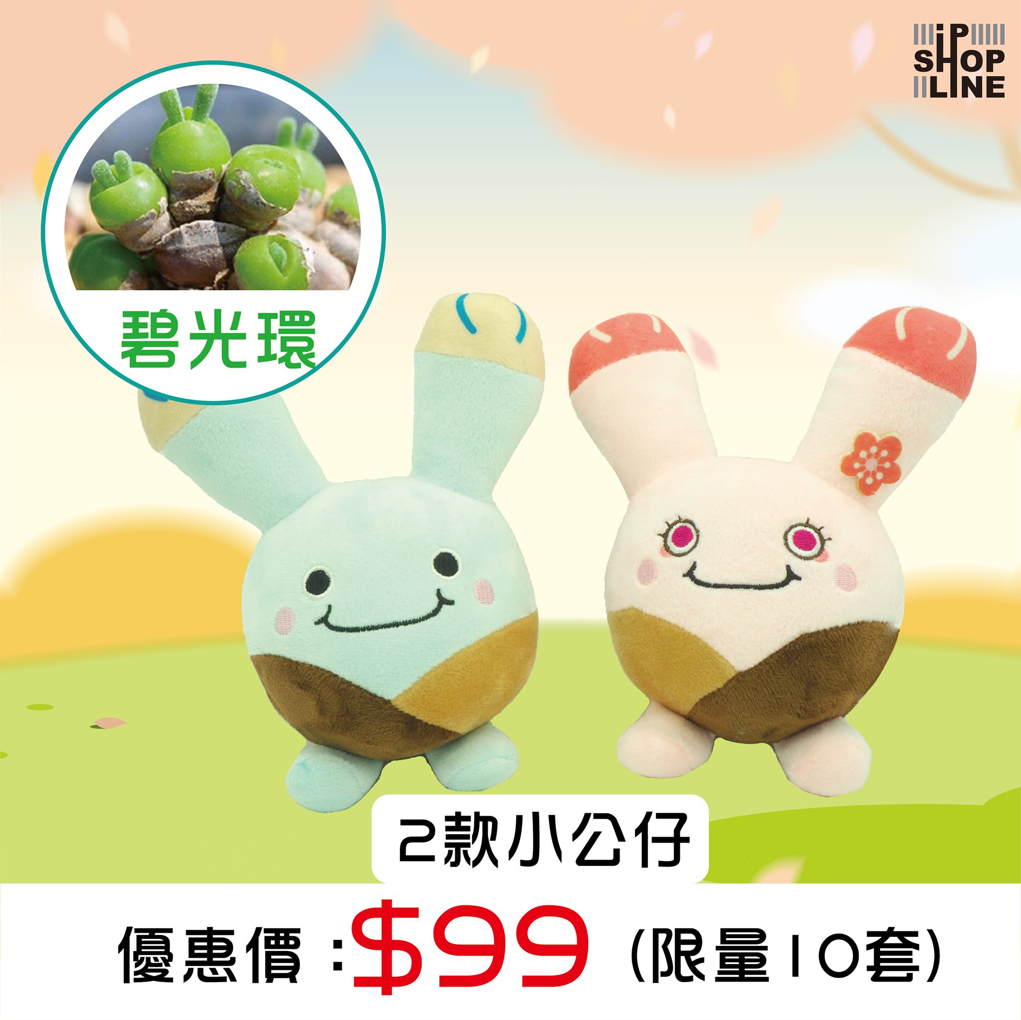 ipshop.line - 🌵【工作繁忙但又想喺屋企擺啲植物加添生氣 】🌵 Plump Planet #多肉小星球...