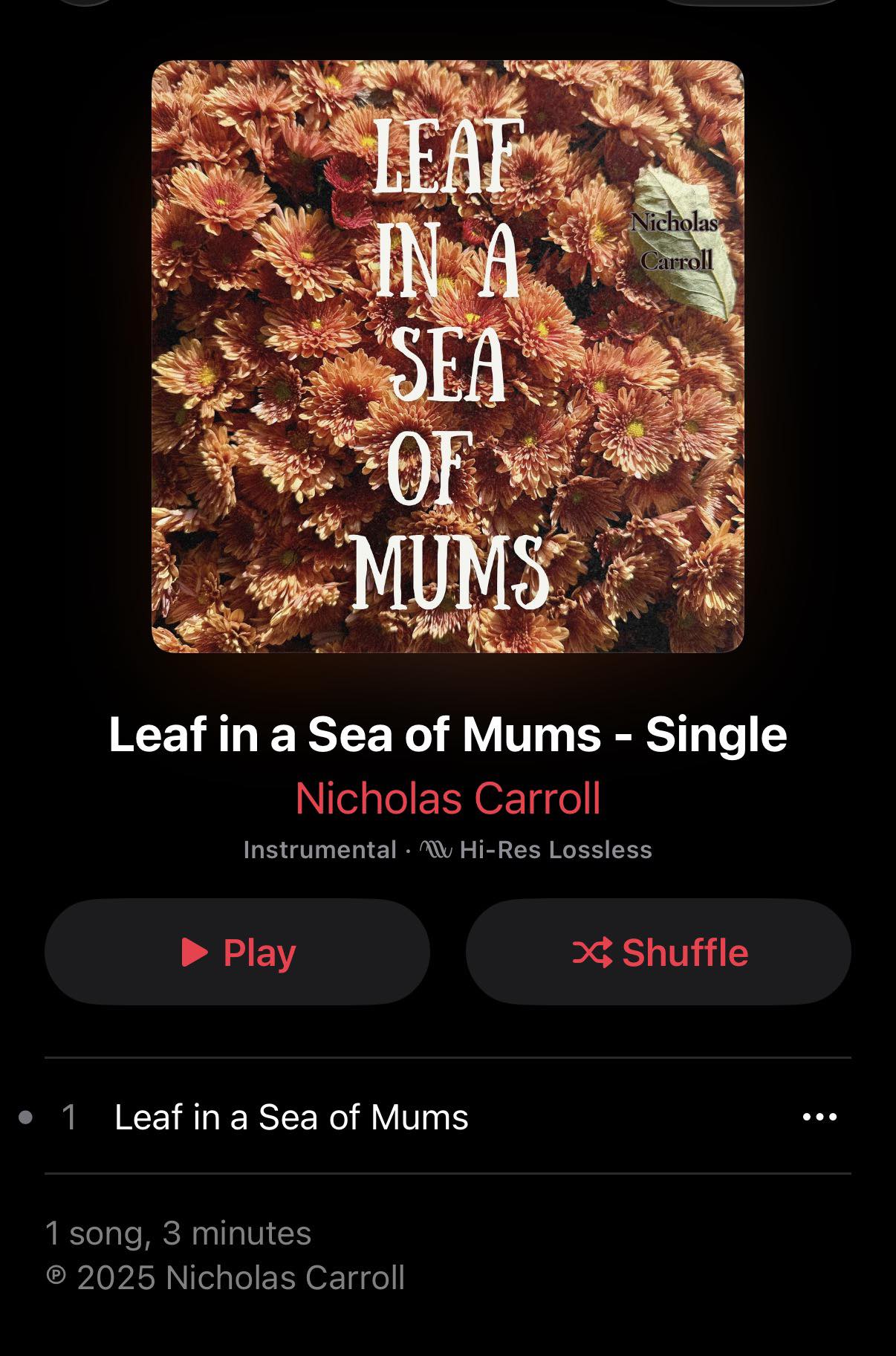 Nicholas - Small Business Saturday! Stream Mr. Carrolls new piano solo ...