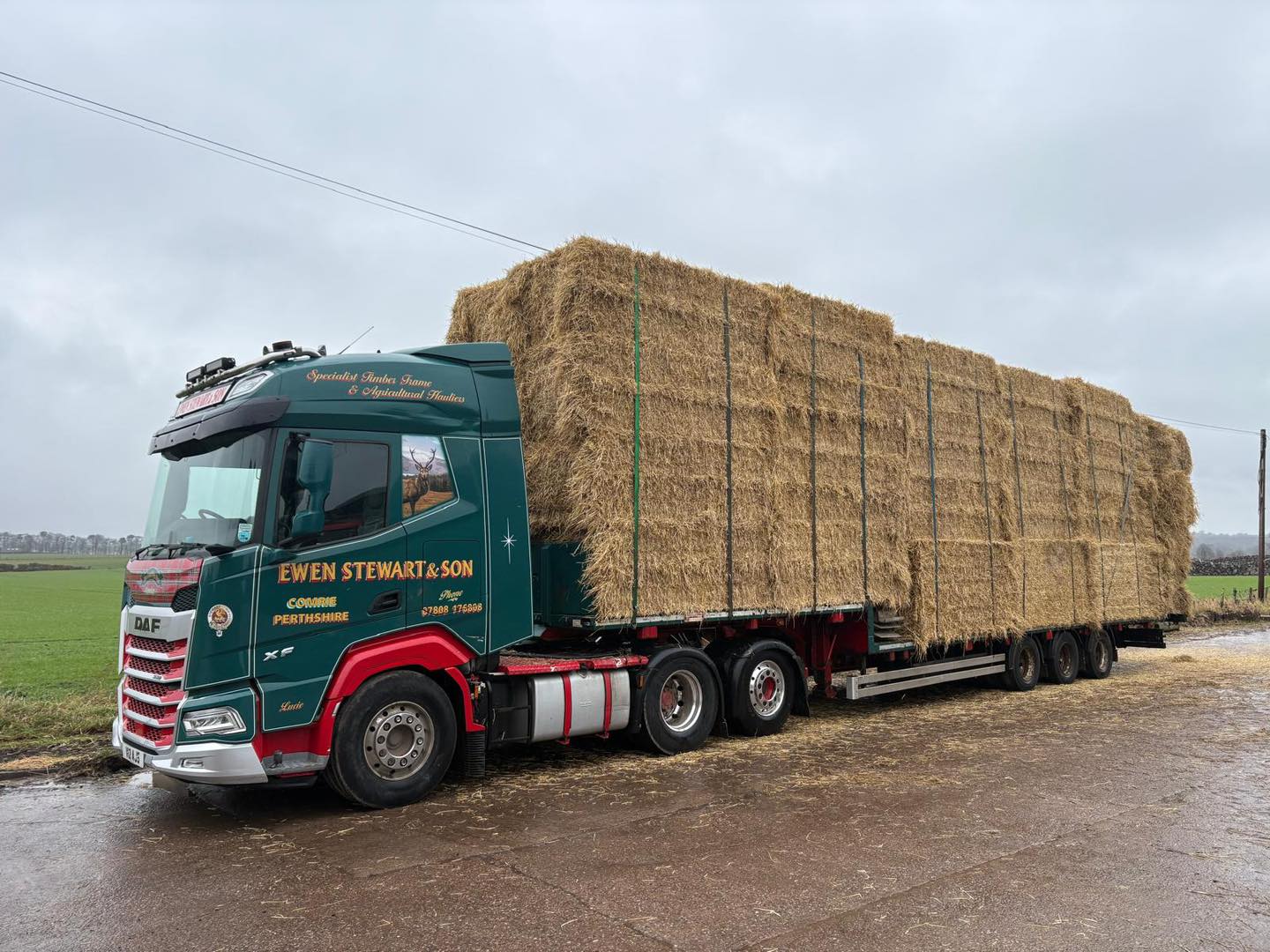 What a busy start to 2026 we've had with all four lorries running
