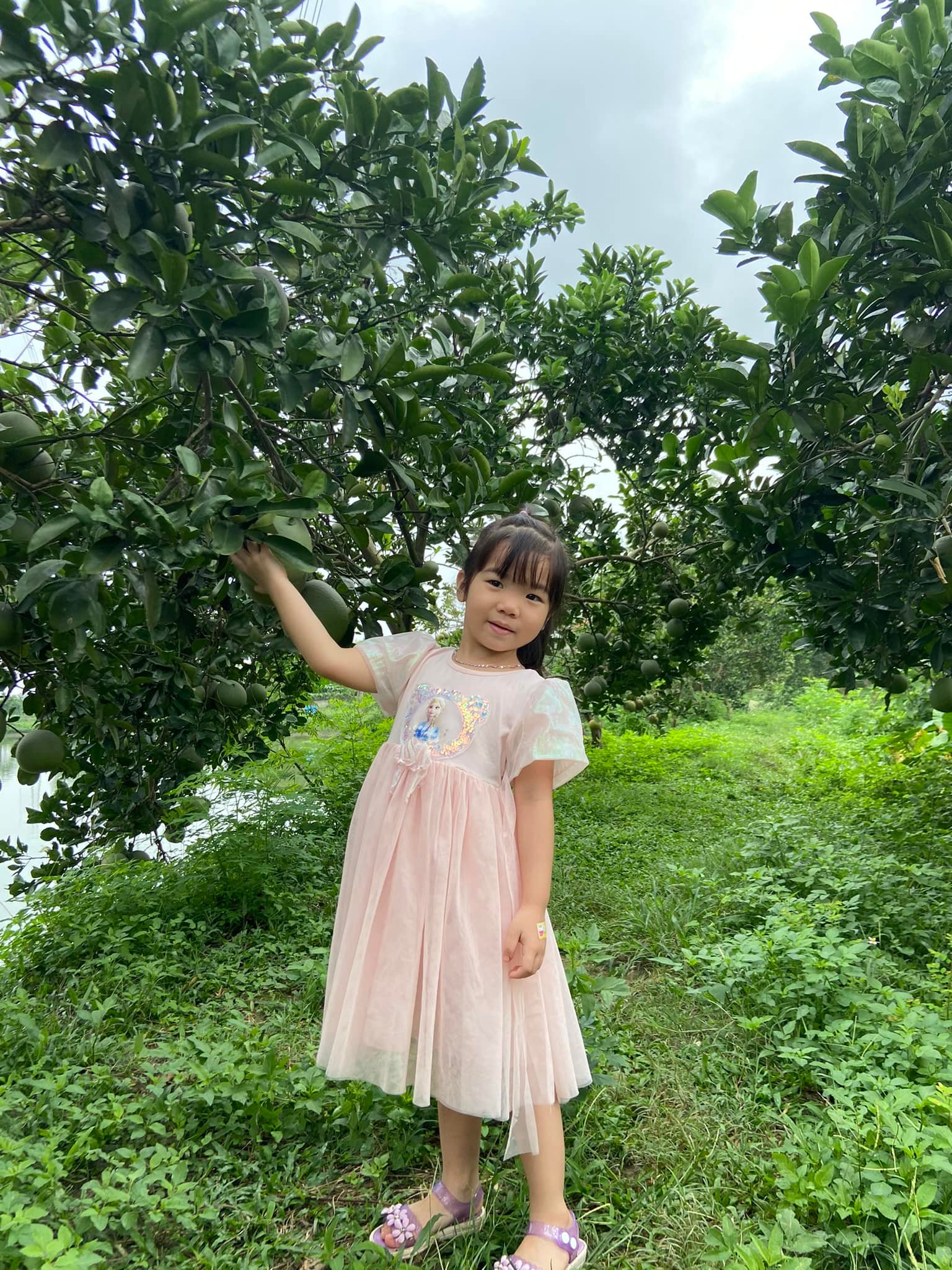 Quỳnh Ruby