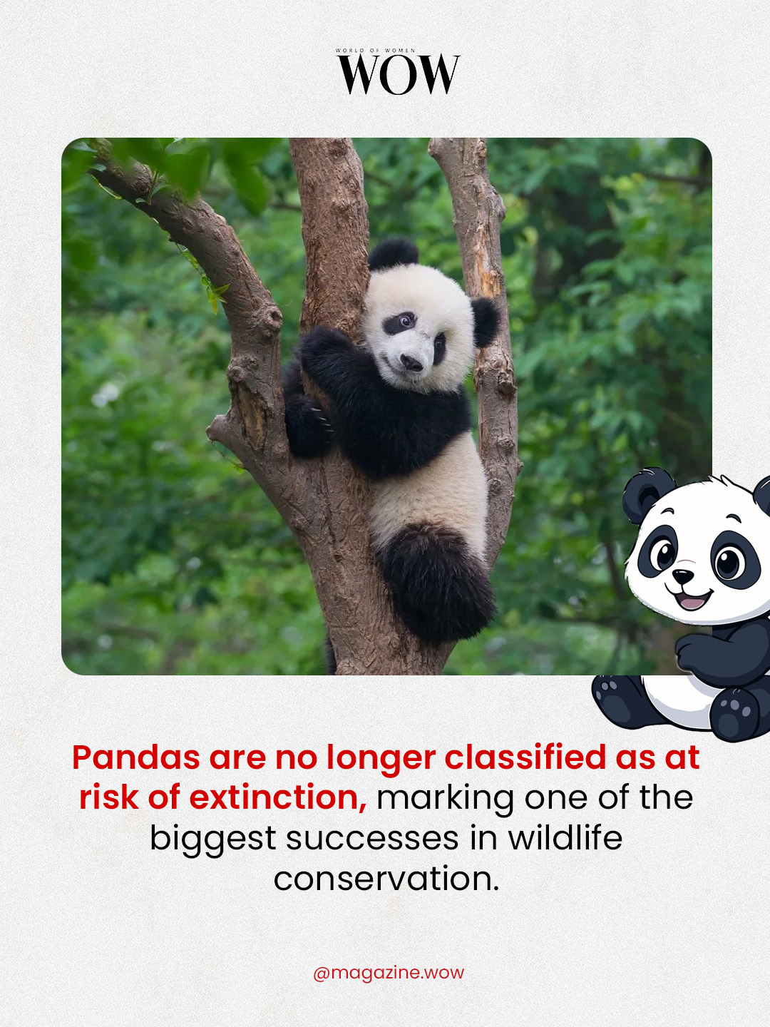 WOW - Once endangered, pandas have now been removed from... | Facebook
