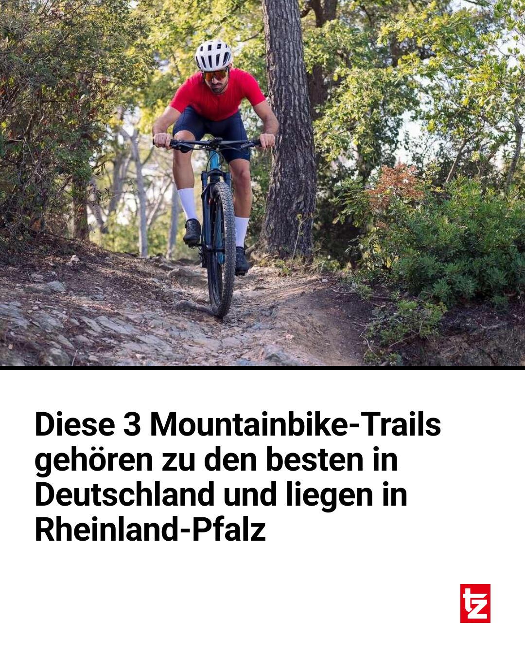 pedale rennrad MTB & – 171 g/Paar, Ultraleicht Magnesium-Flachpedale – ROCKBROS-DE 2025 Racer Veil Jersey (Size):M Stevens E-Inception ED 8.7.1 recambios moto