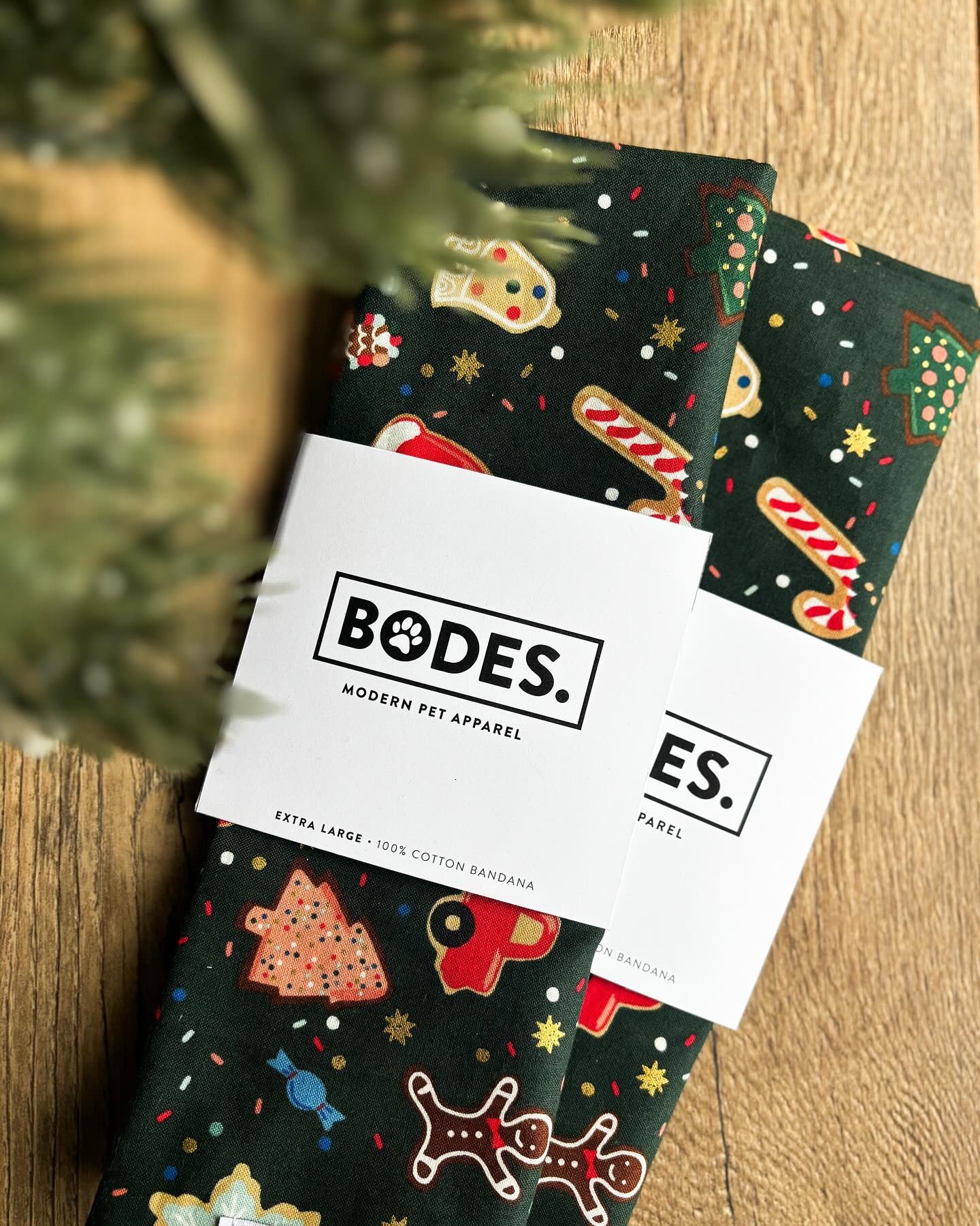 Bodes. | Sydney River NS