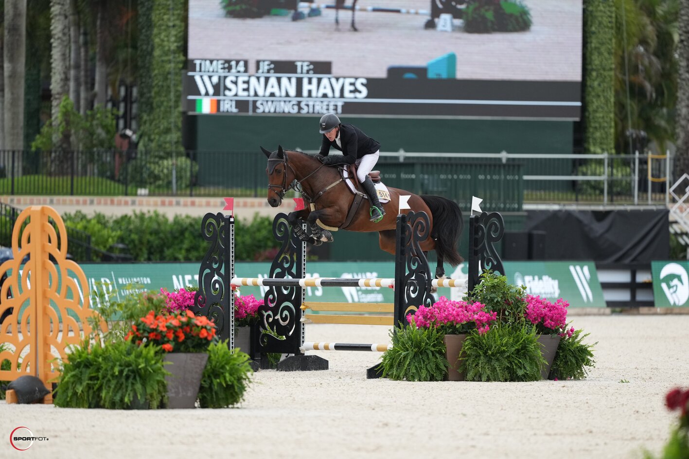 It was so gratifying to see our homebred young jumpers compete