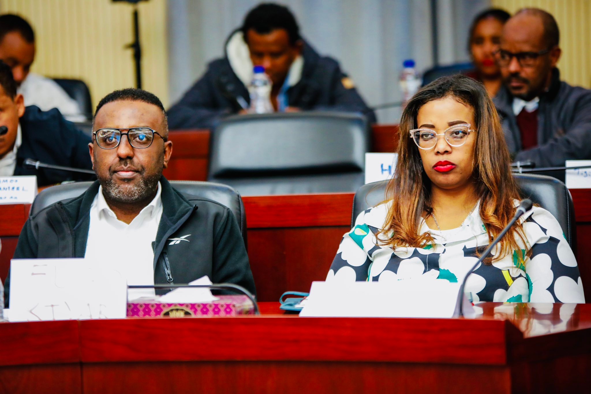 Federal First Instance Court Of Ethiopia