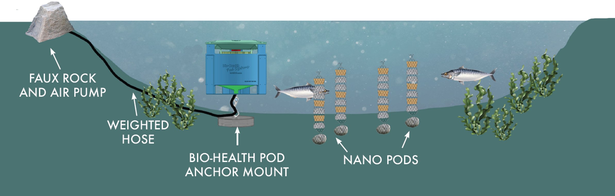 Fountains - 🌿 Patented Bio-Health Pod Systems! Our Bio-Health Pods are ...