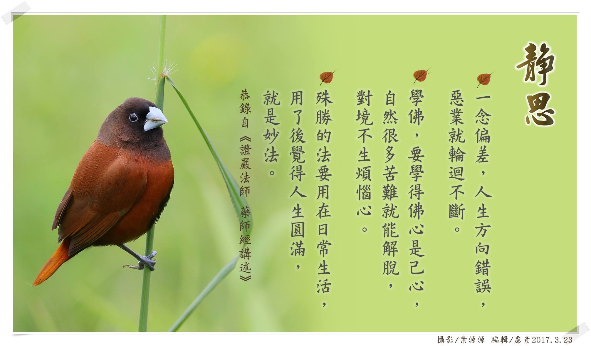 靜思語 - 一念偏差，惡業輪迴— 《藥師經》已經到如何破除自讚毀他的心態，而佛陀也說過了，自讚毀他，將來的業力，除墮三惡道外，還會在人身中受諸 ...