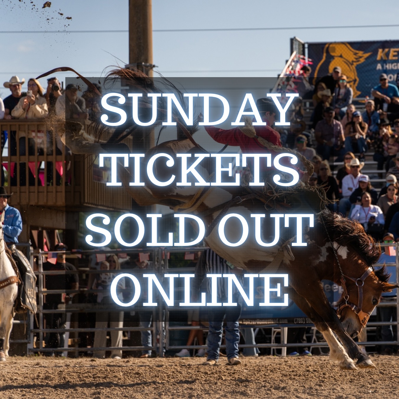 Homestead Rodeo | Homestead FL