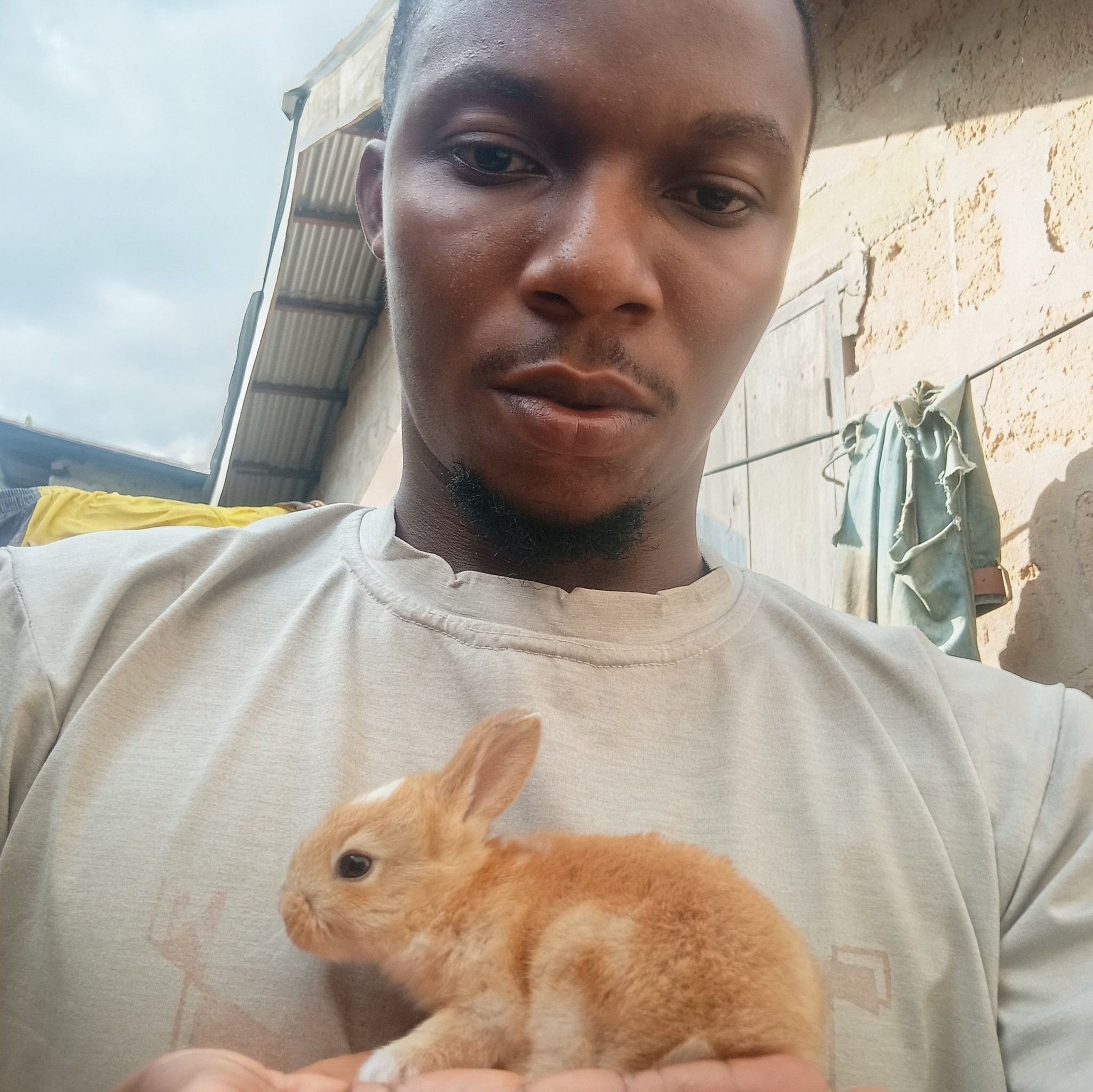 Bitz Rabbitry - Rabbit Fight grasscutter? Nope that's not... | Facebook