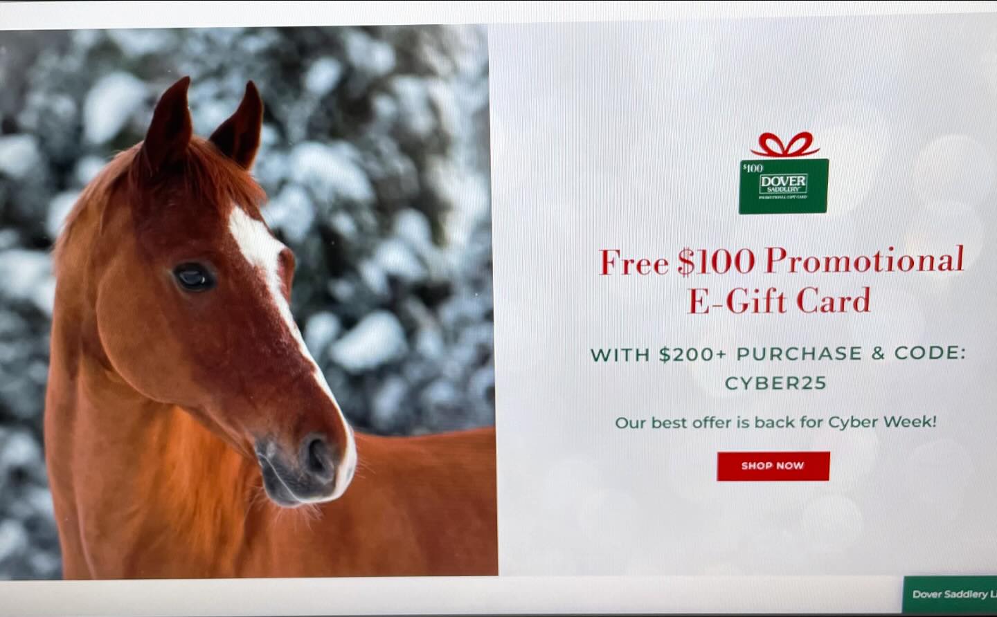Dover Saddlery Gift Card
