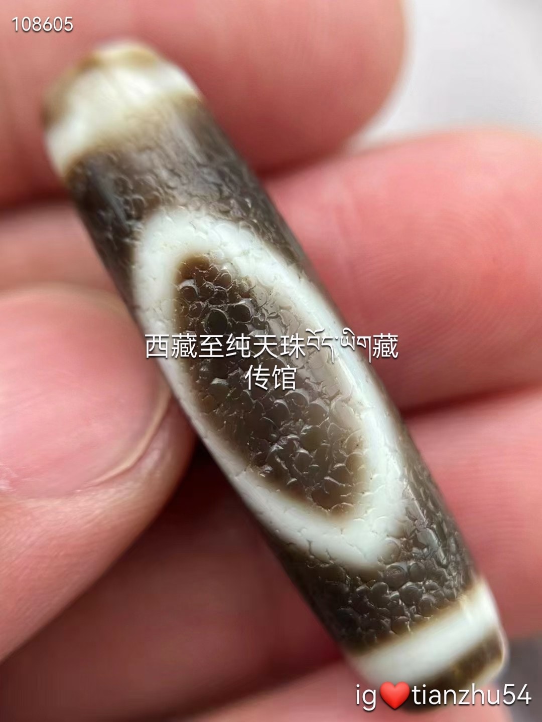 チベットジービーズ 西蔵天珠 優質馬蹄紋 至純天珠 九眼天珠 三十六眼