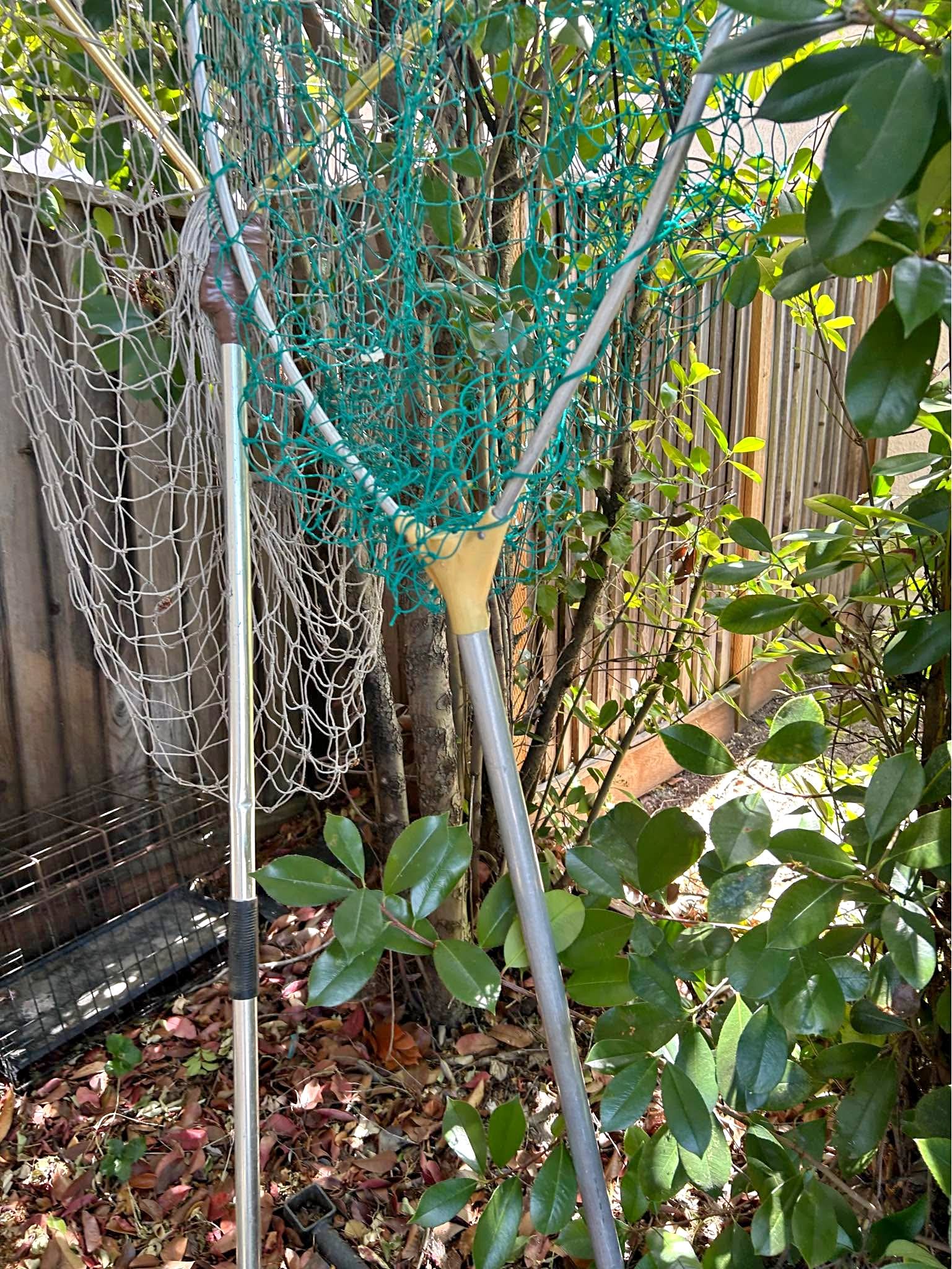 10 foot fishing net Bait Buster Bait Cast 1/2