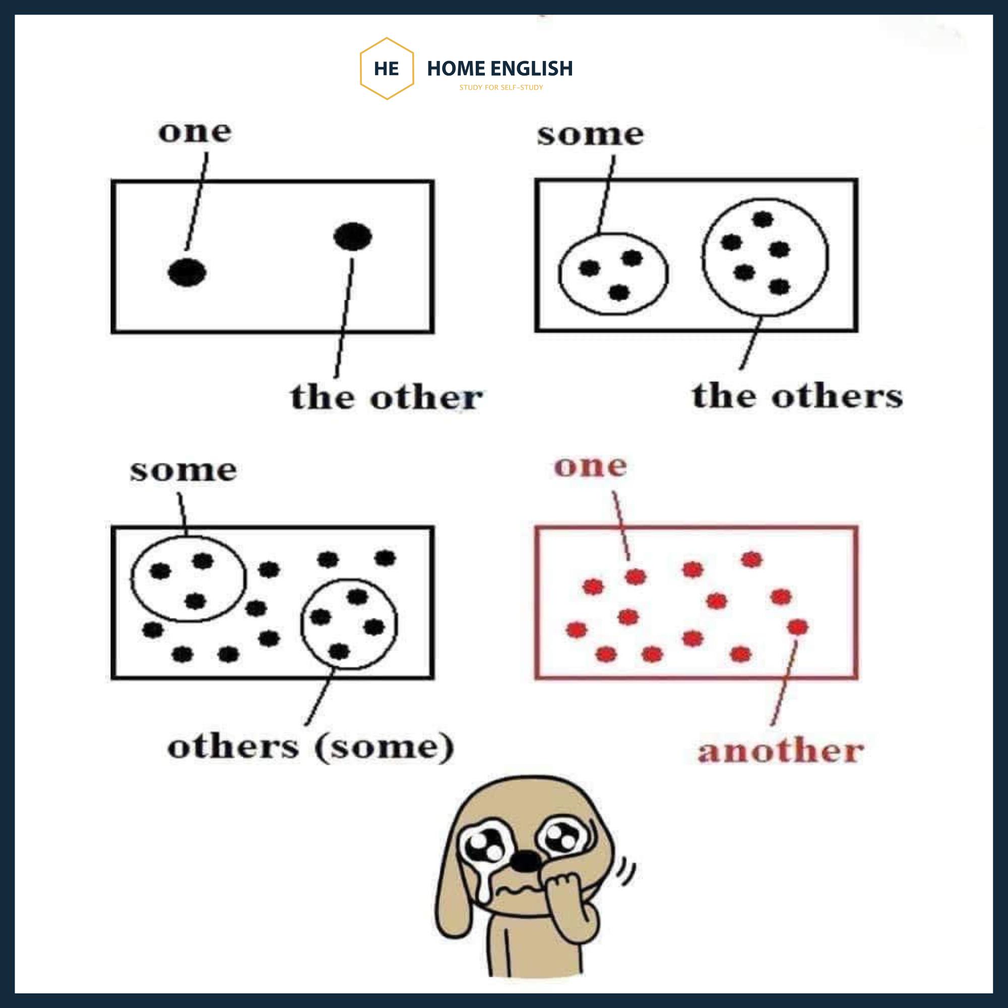 Home - Phân biệt The Other, Another, Others & The Others trong một nốt ...