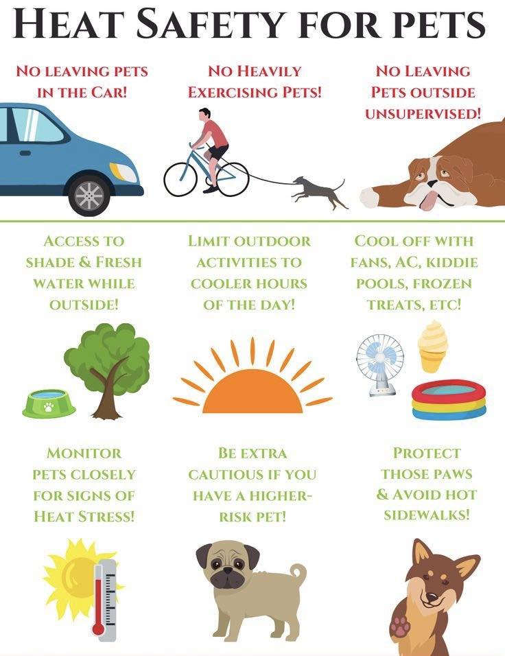 Bass Hill Veterinary... - Bass Hill Veterinary Hospital
