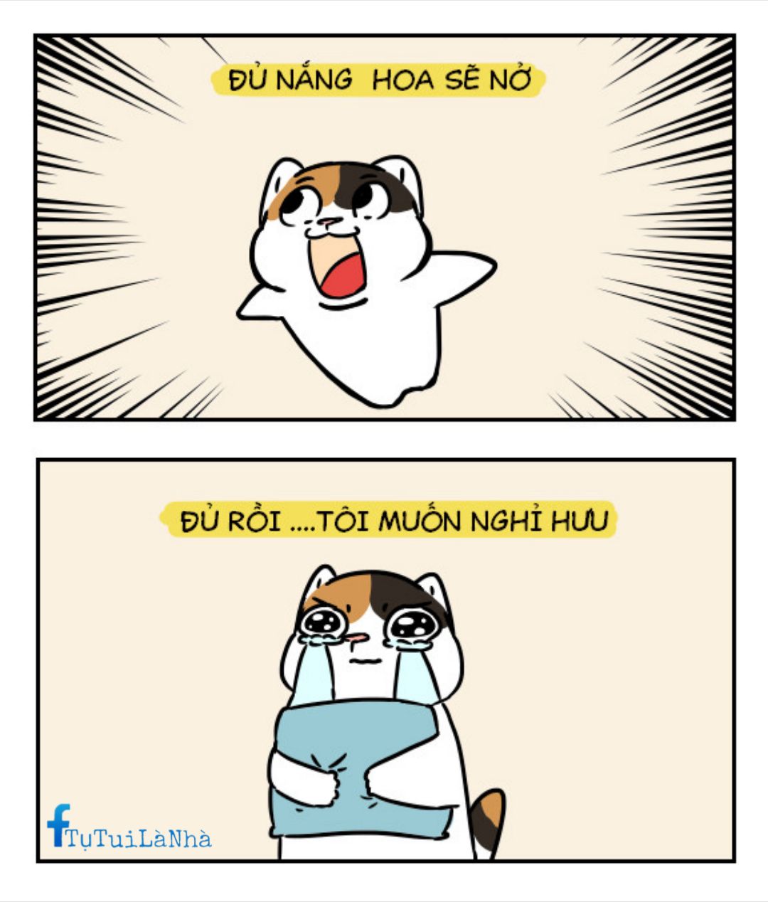 Tụ - Đủ rồi quá đủ rồi #tutuilanha #meme #comics #sinsumsi | Facebook