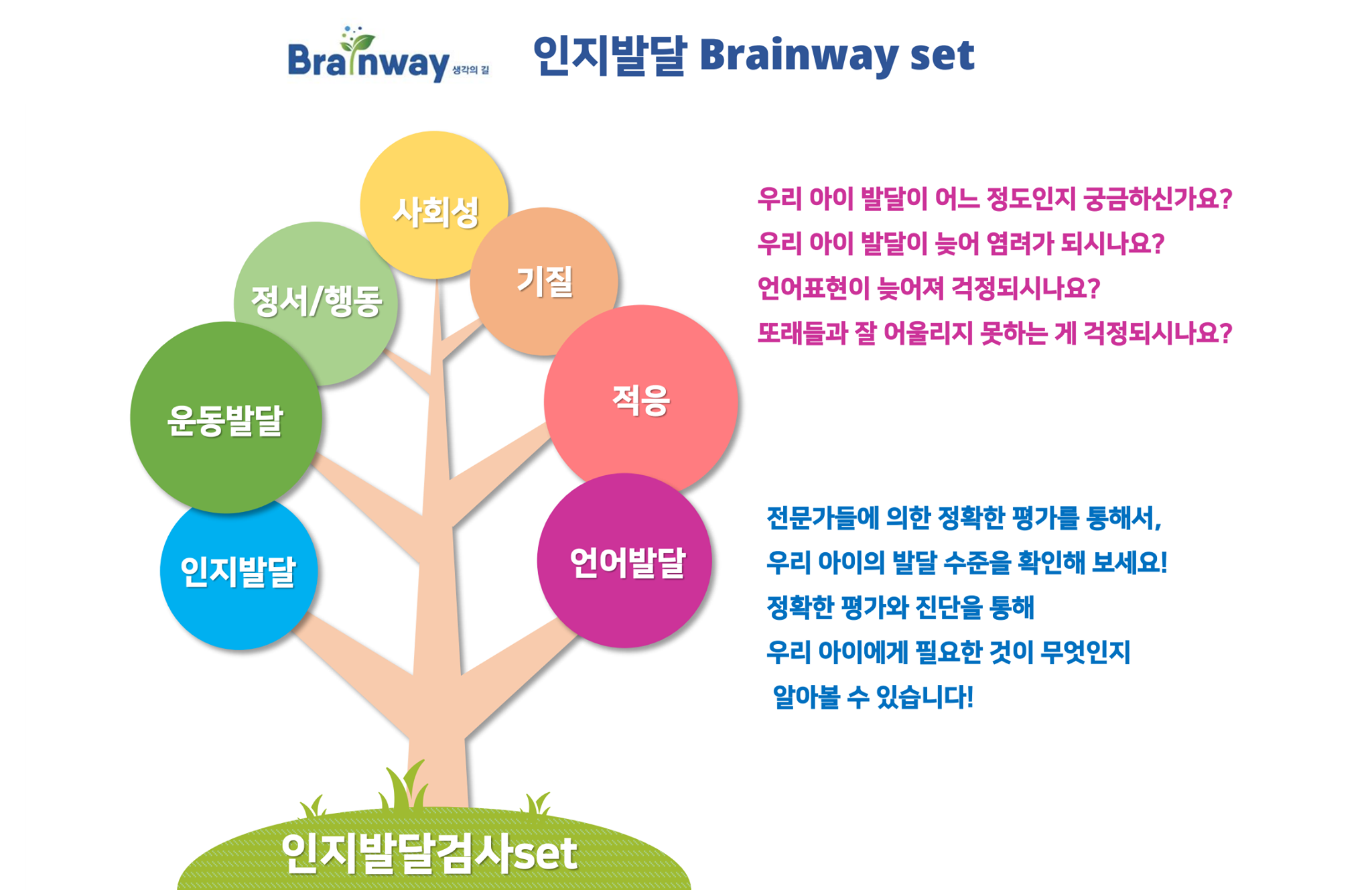 Brainway - Seoul - - Home