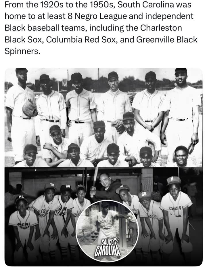 Blacks - South Carolina was home to at least 8 known Negro League and ...