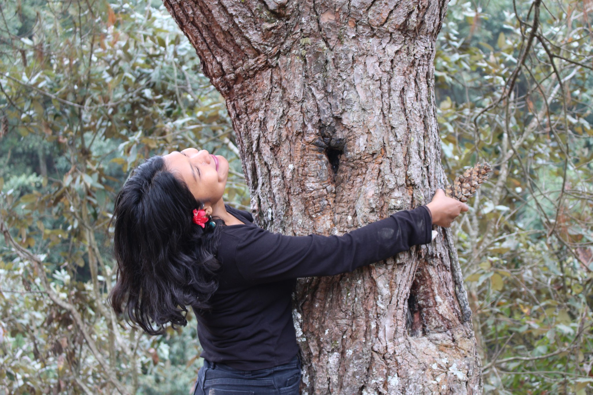 🌿 Did you know this plant can move without muscles? Meet the touch-me ...
