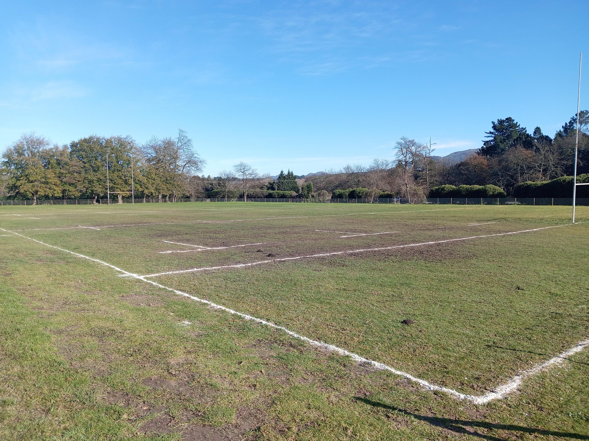 Spring Roses RFC