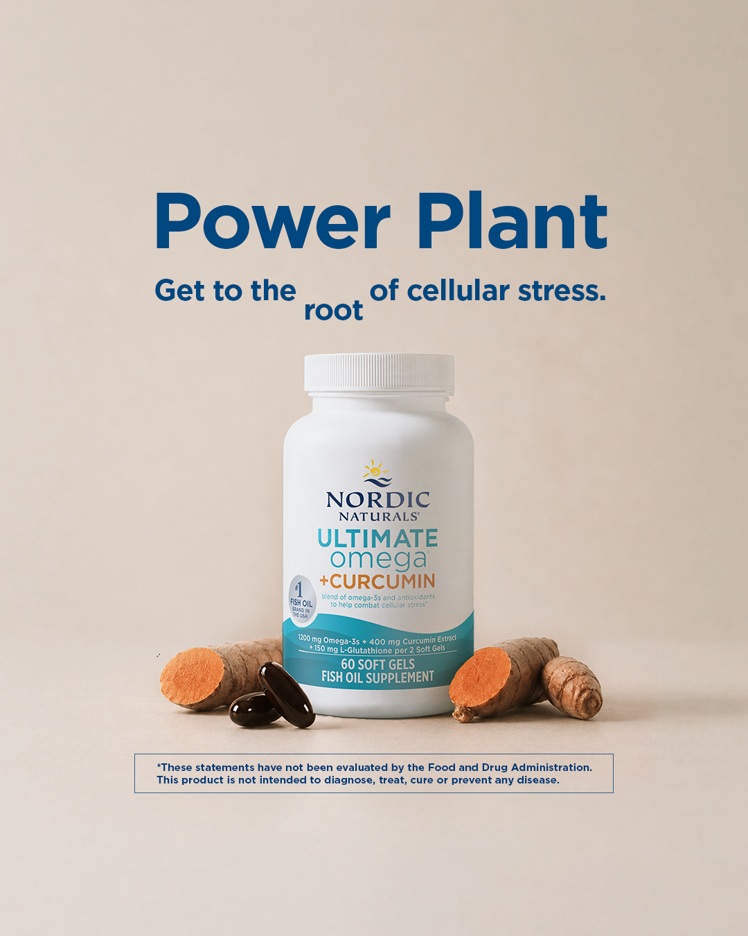 nordic naturals glutathione Omega Curcumin 60s – Azikho Nordic Naturals® Ultimate® Omega |