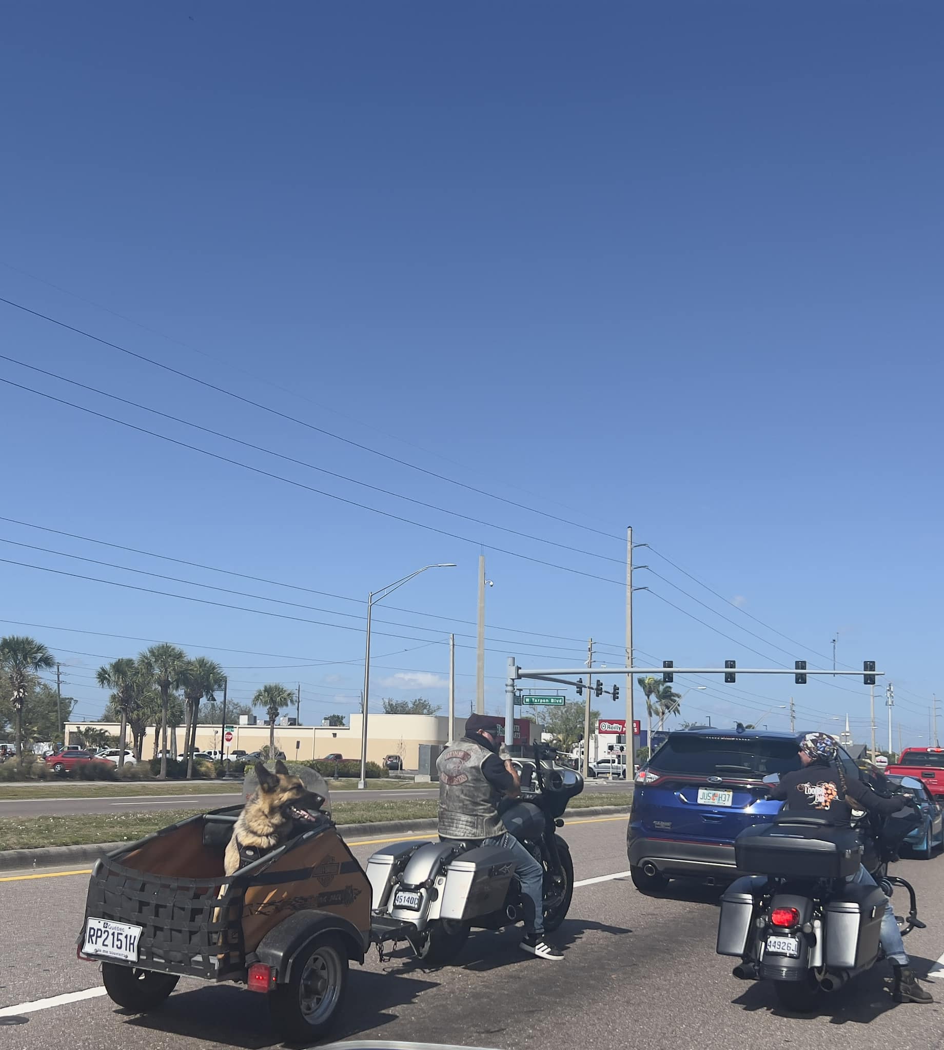 Susan Rimes, Realtor | Fort Myers FL
