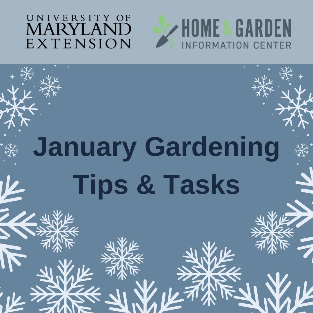 Charles County Master Gardeners, University of Maryland Extension | Bel ...