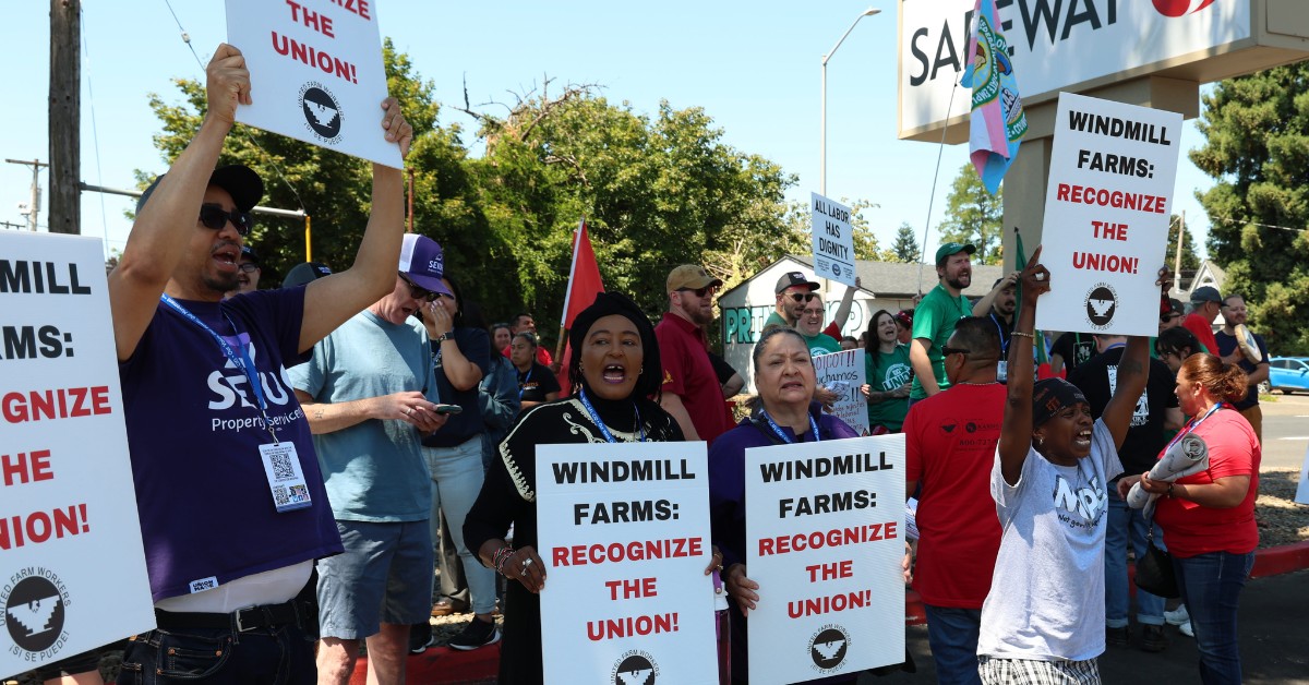 The STAND - The UFW boycott of Windmill Mushrooms is... | Facebook