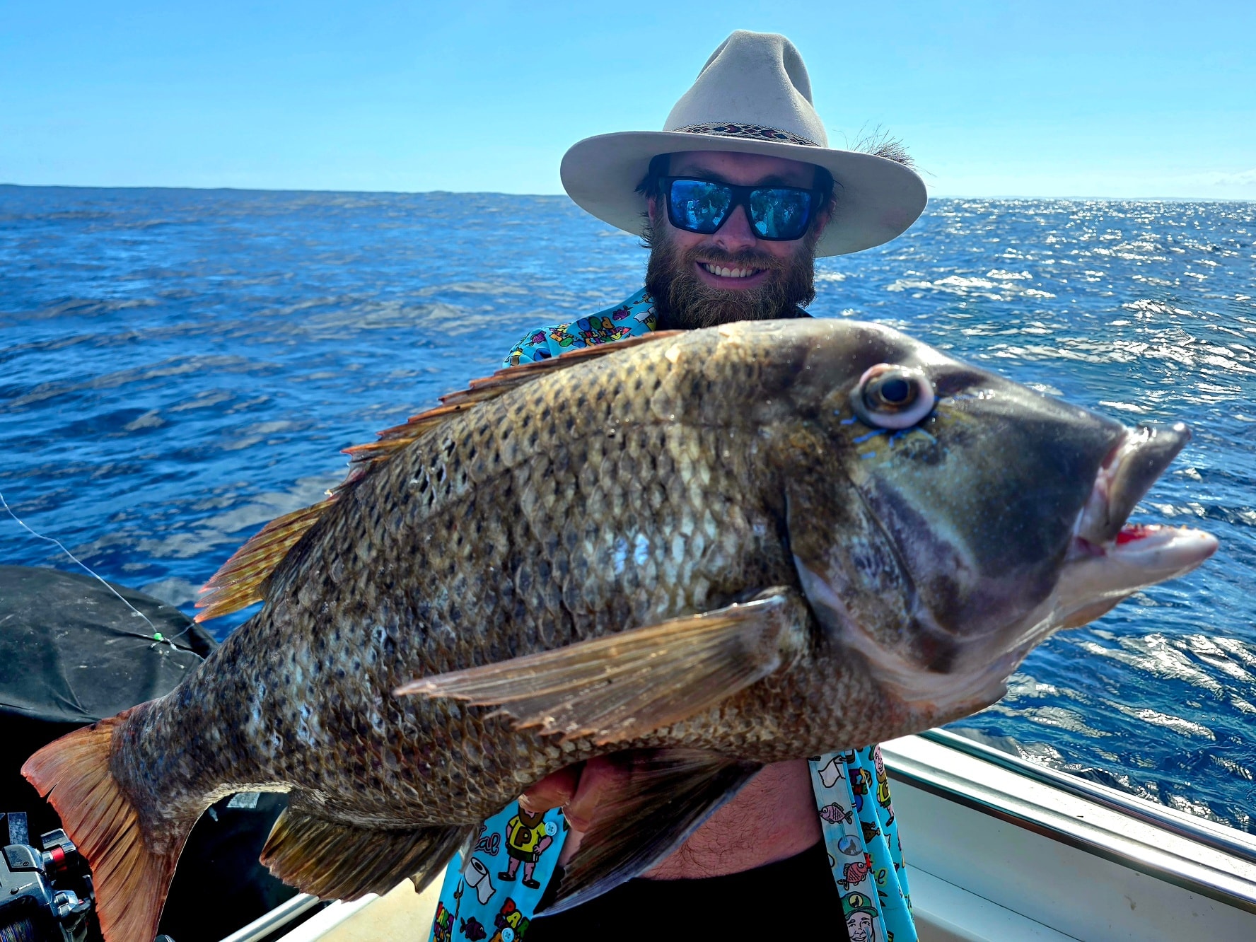 Now this is a horse of a... - Rainbow Escape Charters | Facebook