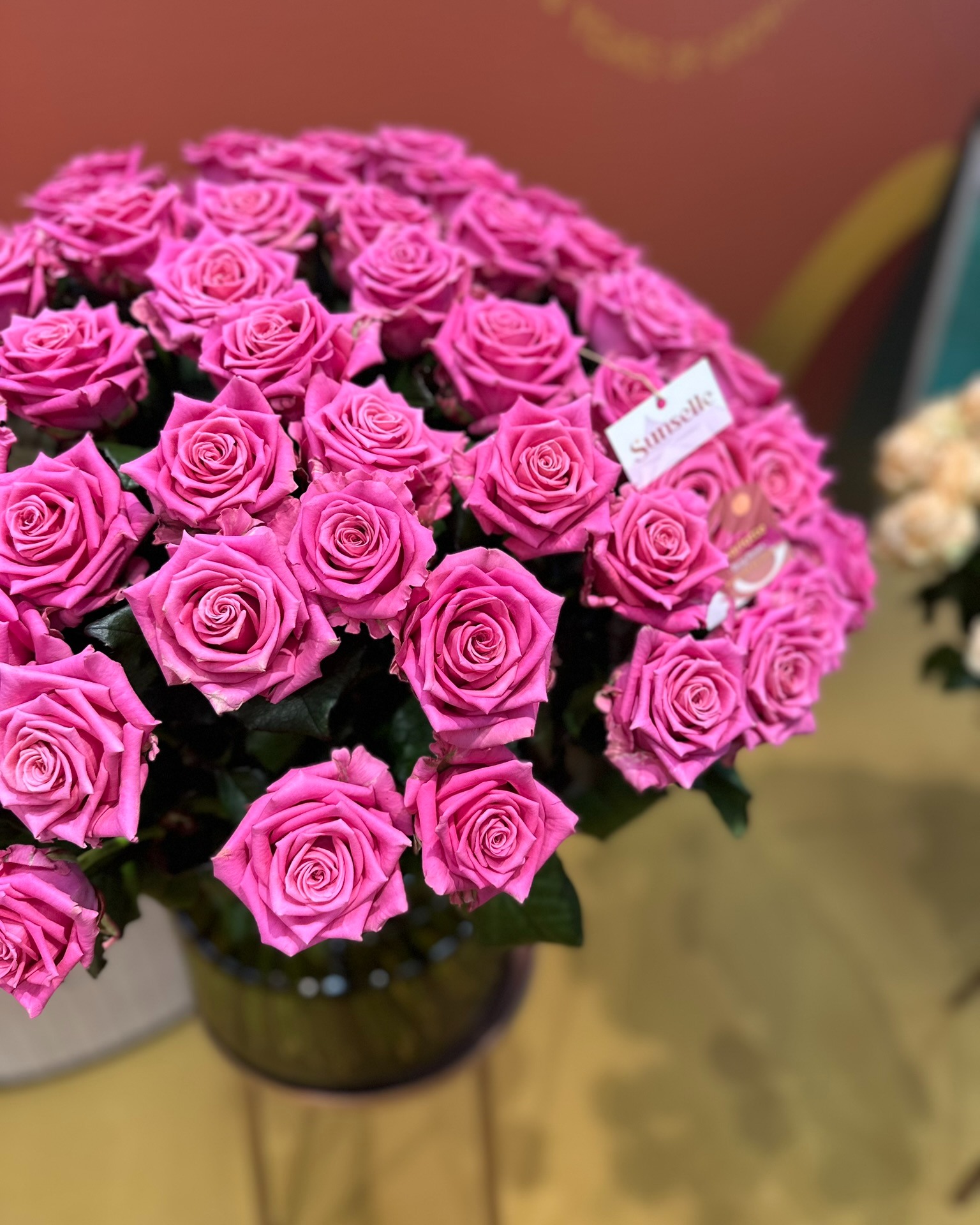 Berg RoseS | Delfgauw