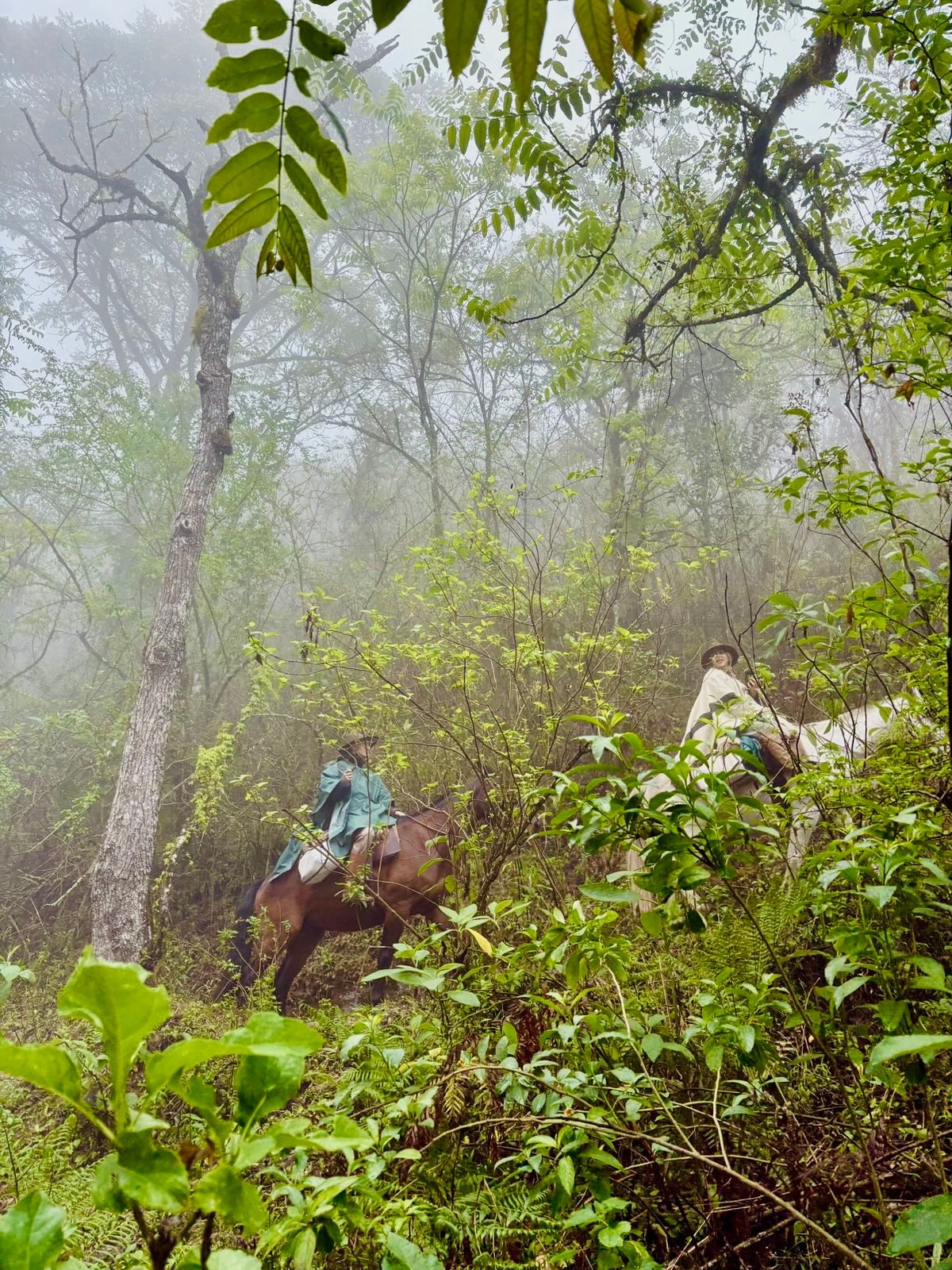 Cabalgatas... - Cabalgatas - Trekking Cabra Horco Expediciones