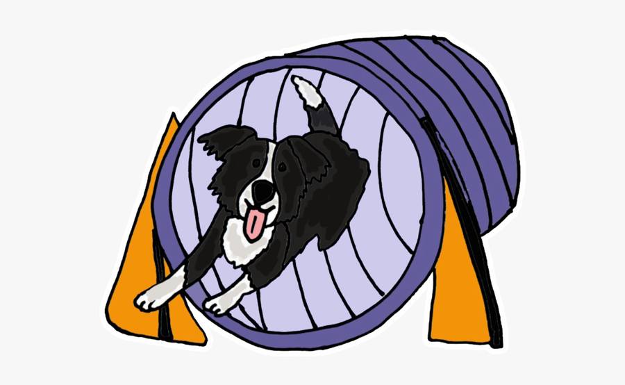 Ruff Agility KY | Louisville KY
