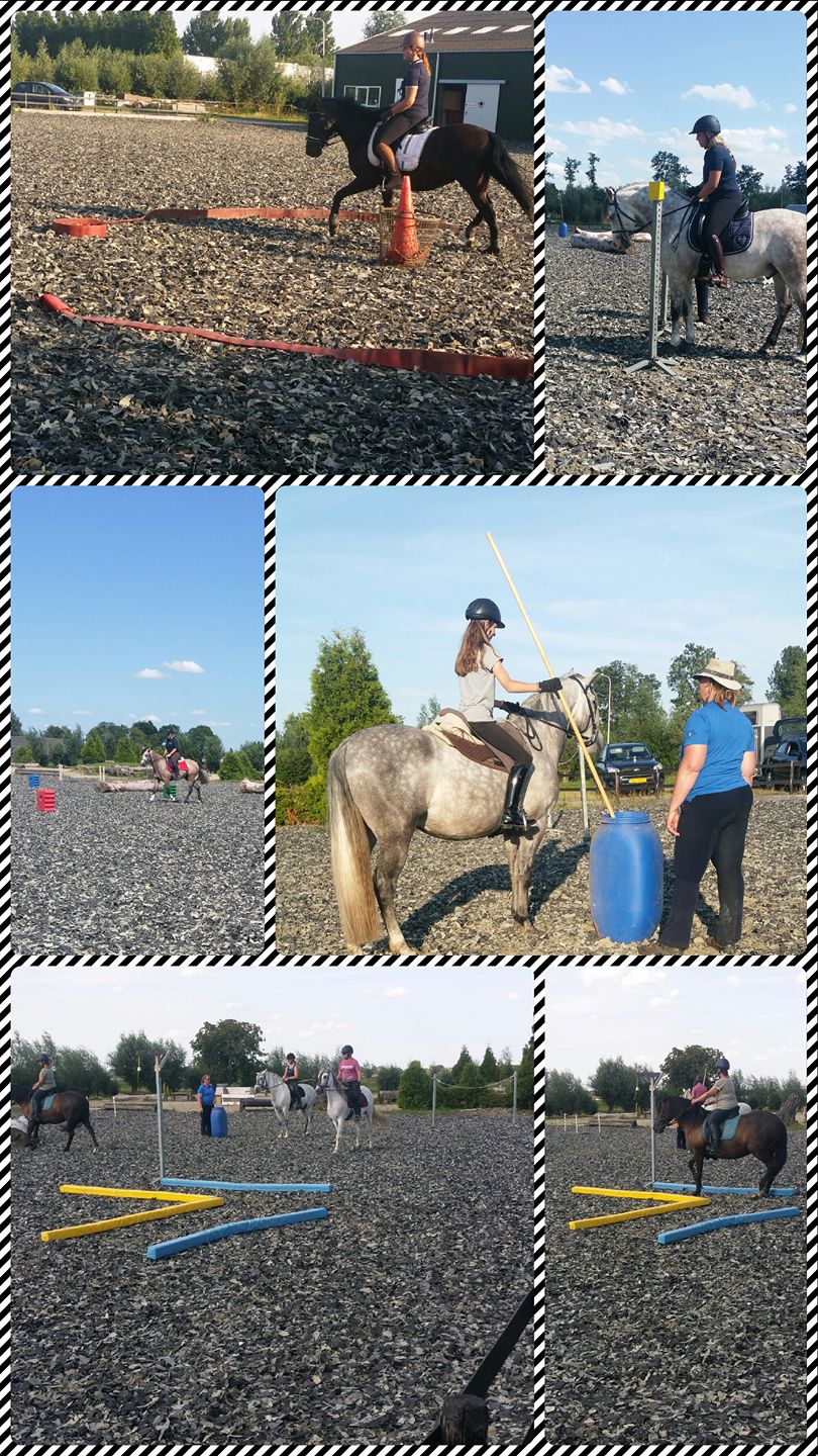 working-equitation-groene-hart