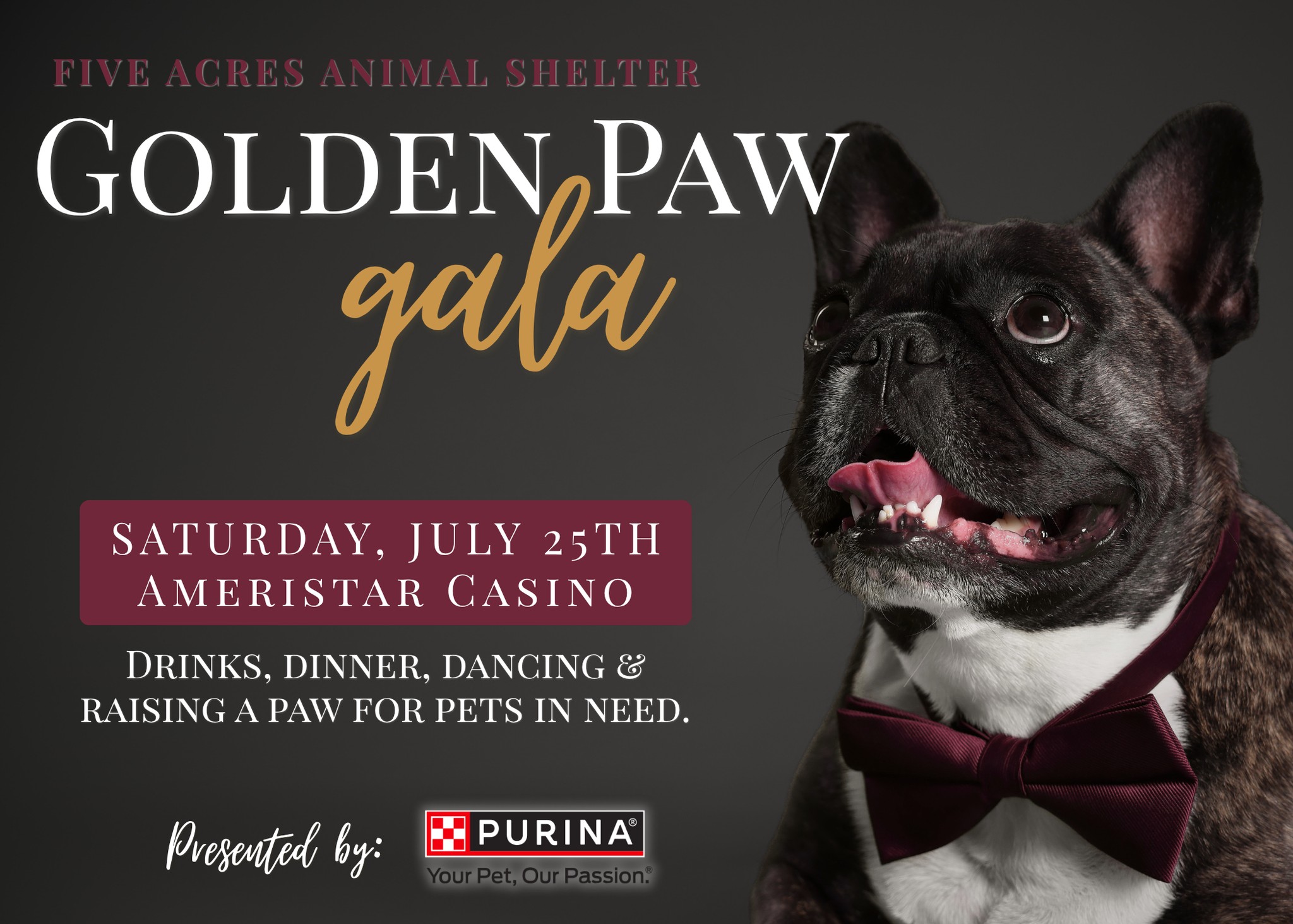Join us for the 4th annual Golden Paw Gala, presented by Purina