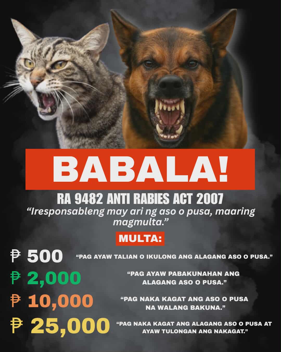 Bawal ang pabaya! Ayon sa RA 9482... - Barangay Maticmatic | Facebook