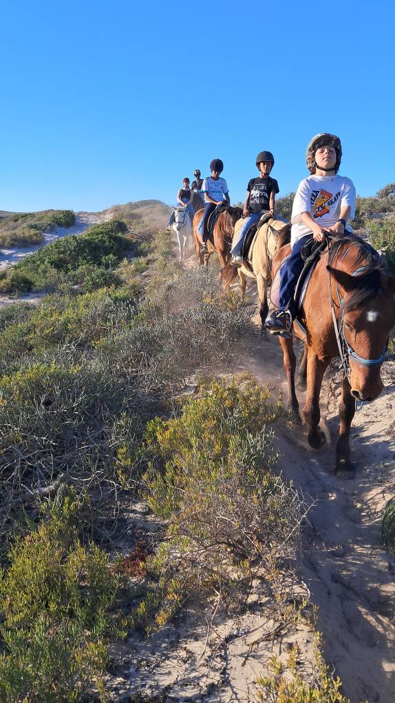 Drikus Horse Trails added a new photo. - Drikus Horse Trails