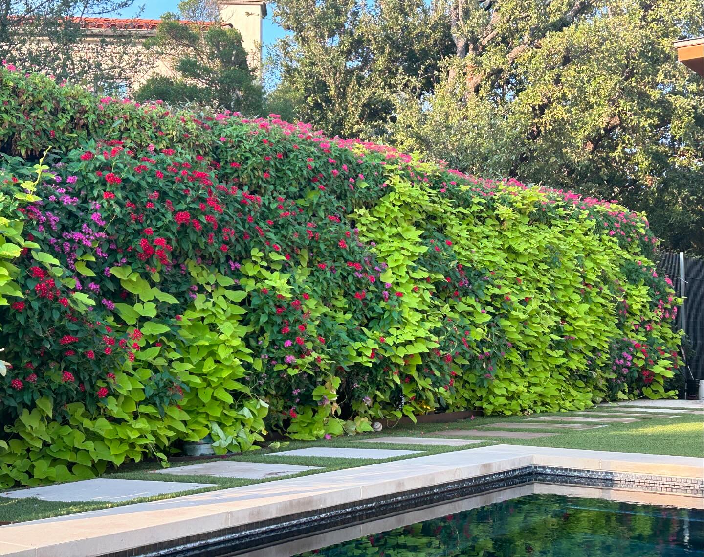 Cody Landscape | Fort Worth TX