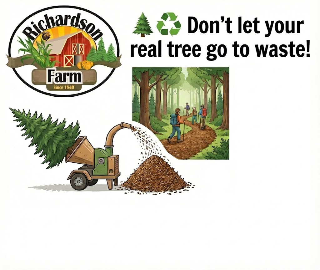 Richardson Cut-Your-Own Christmas Tree Farm | Spring Grove IL