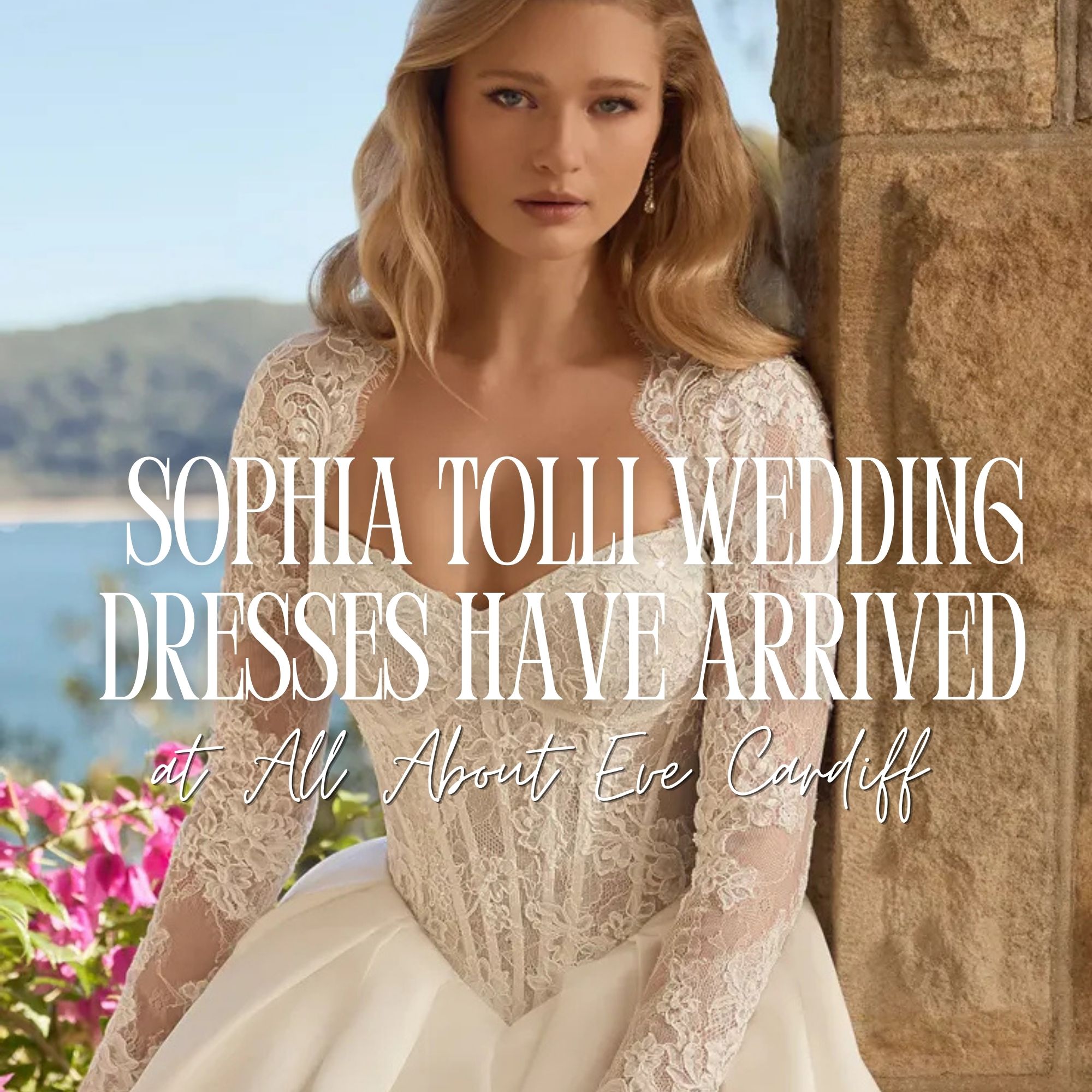 cardiff bridesmaid dresses Sophia Tolli wedding arrive in complete with a bow