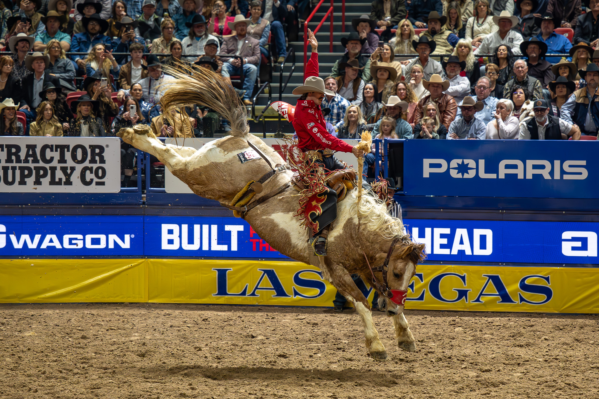 Pete Carr Pro Rodeo added a new... - Pete Carr Pro Rodeo