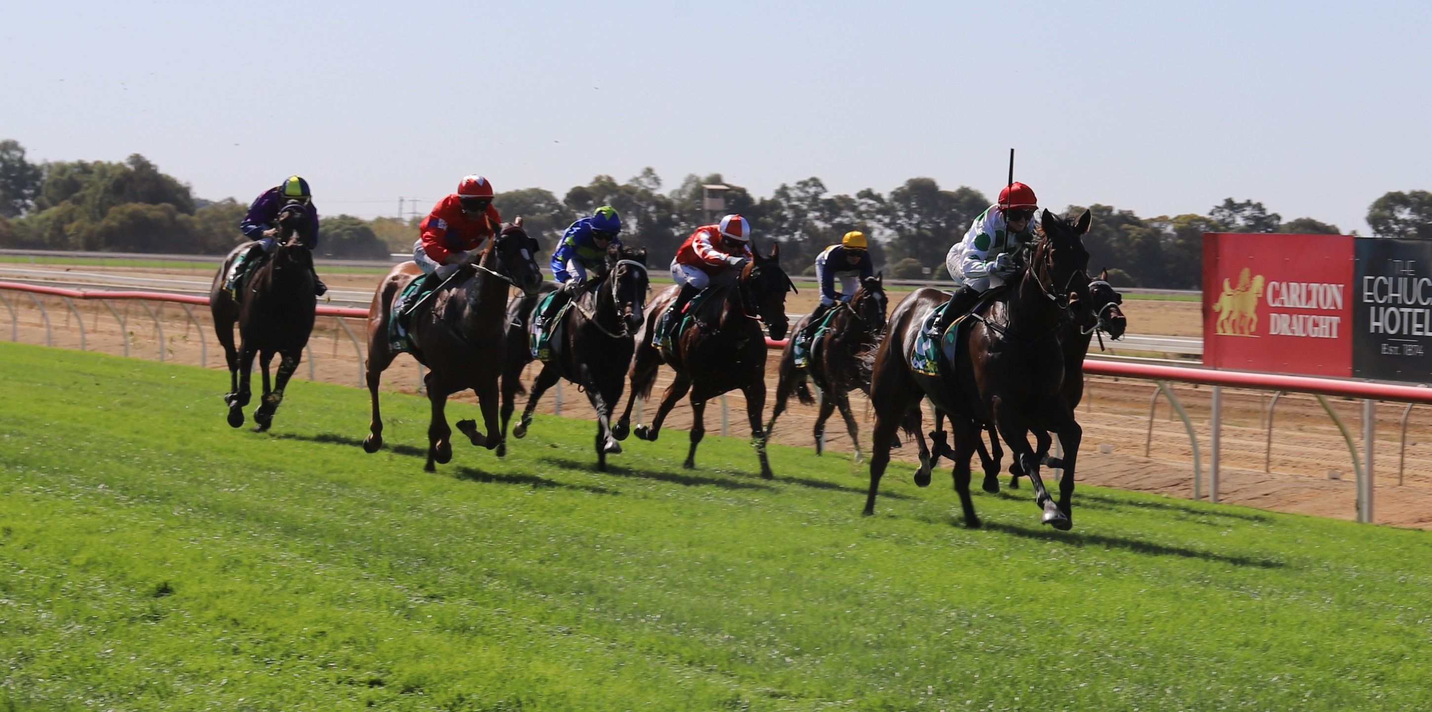 Echuca Racing Club | Echuca VIC