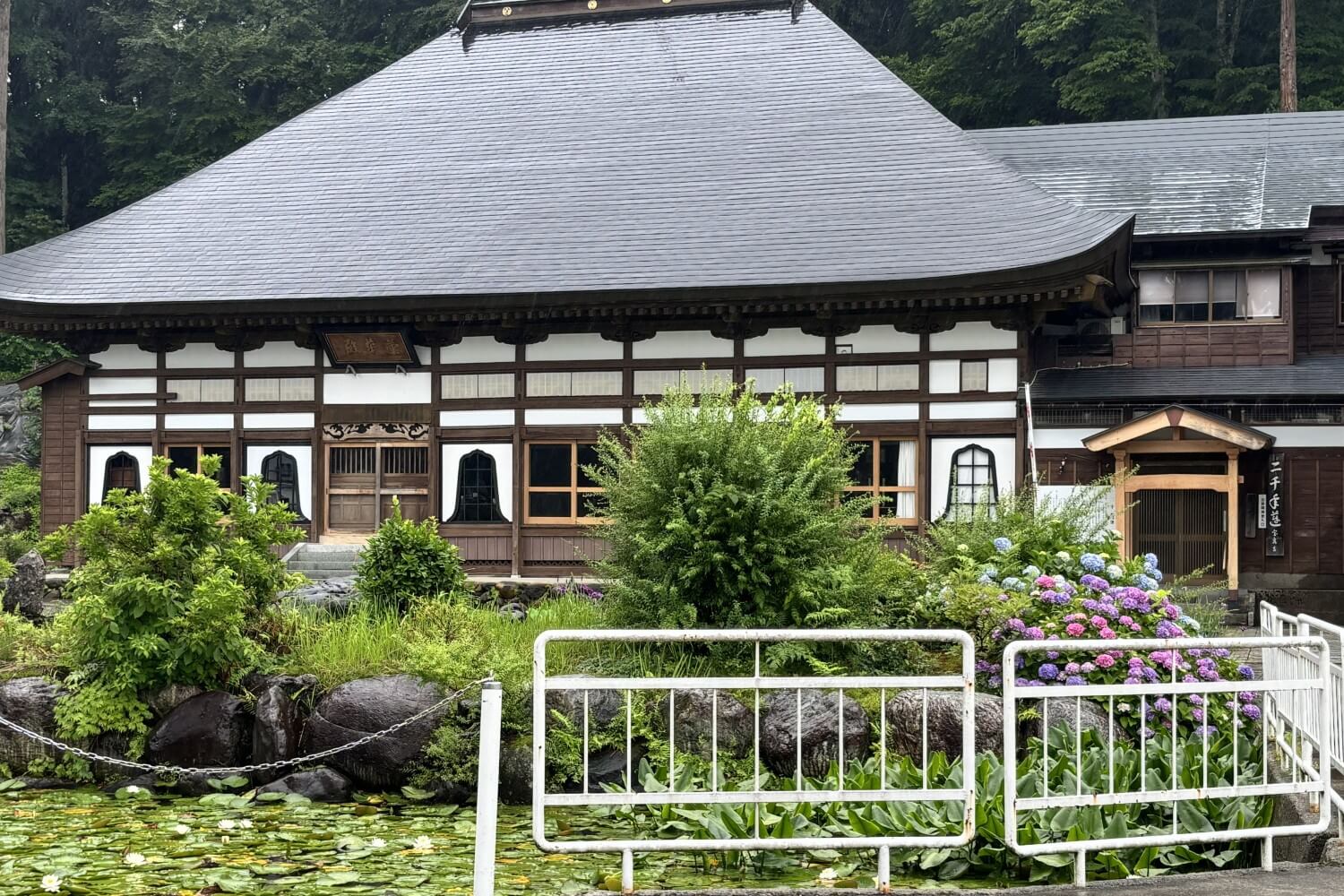 ブログさとやまノート更新🪷 雨に濡れた蓮の花は美しい。1輪だけ咲き