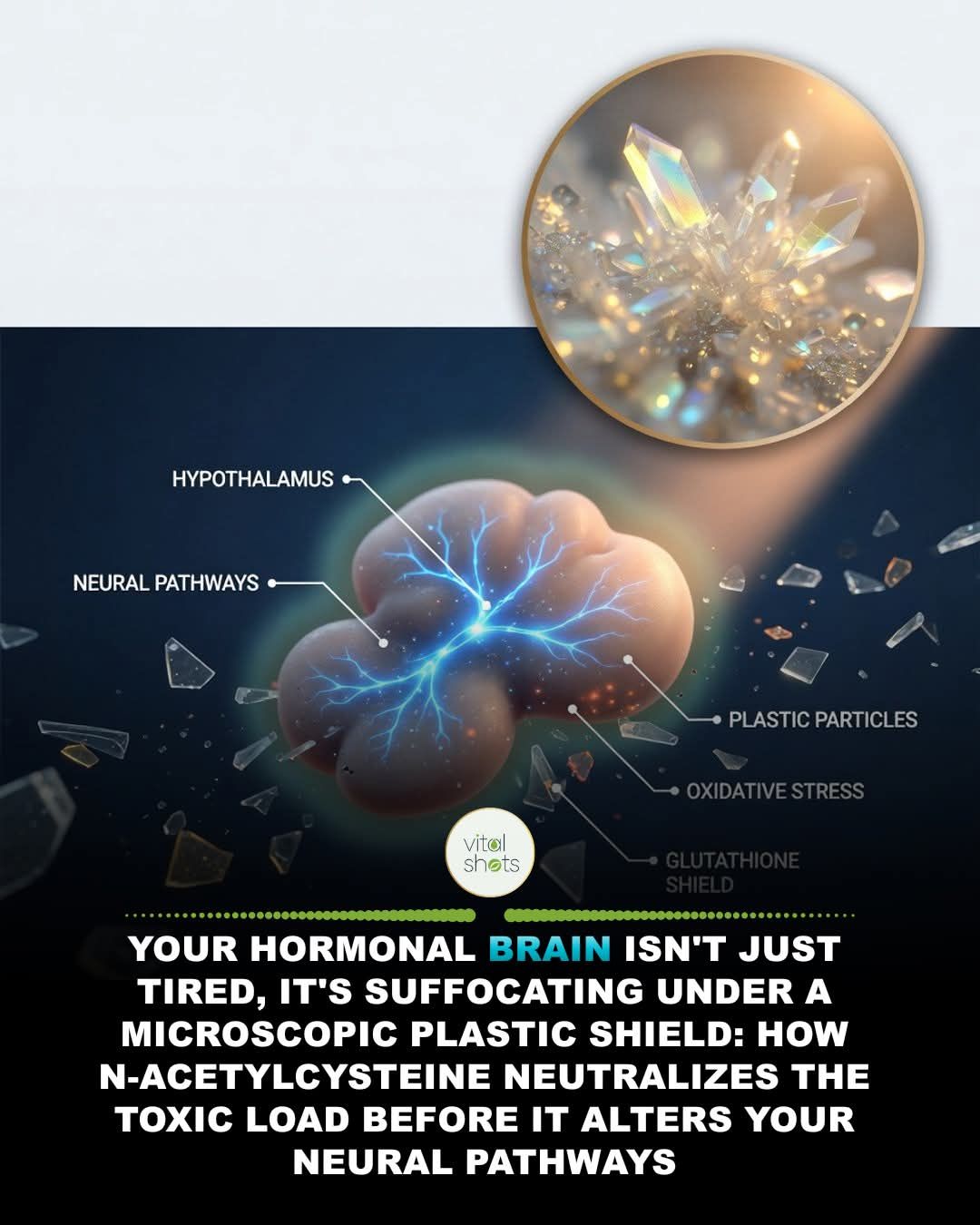 ed schimt glutathione Nanoplastics disrupt brain energy metabolism MG:5mg Understanding Glutathione Supplements for skin barrier serum