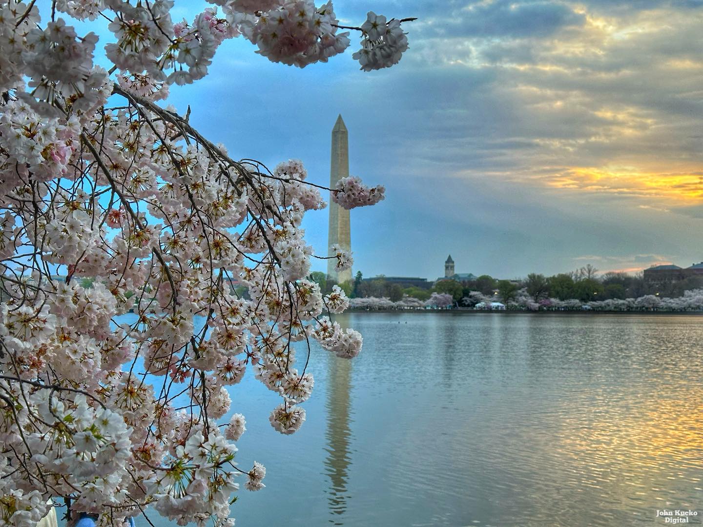 America the Beautiful: Spring is just 15 days away! Captured this 