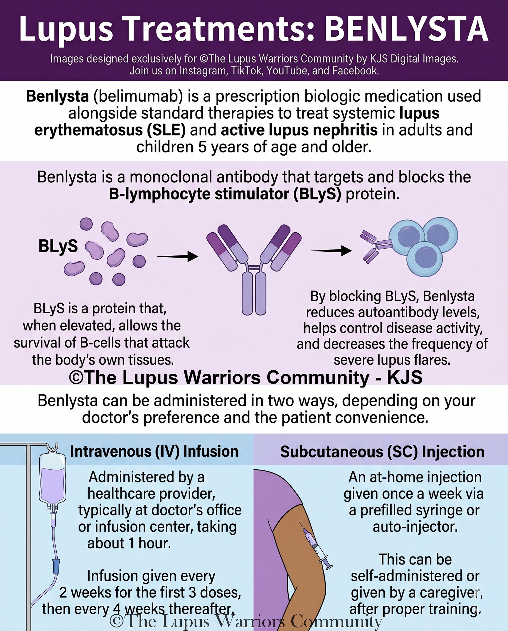 can getting b12 injections cause lupus flare Has Benlysa shot helped with symptoms? GLP-1 & Microdosing | Size:4 count dog digestive supplement