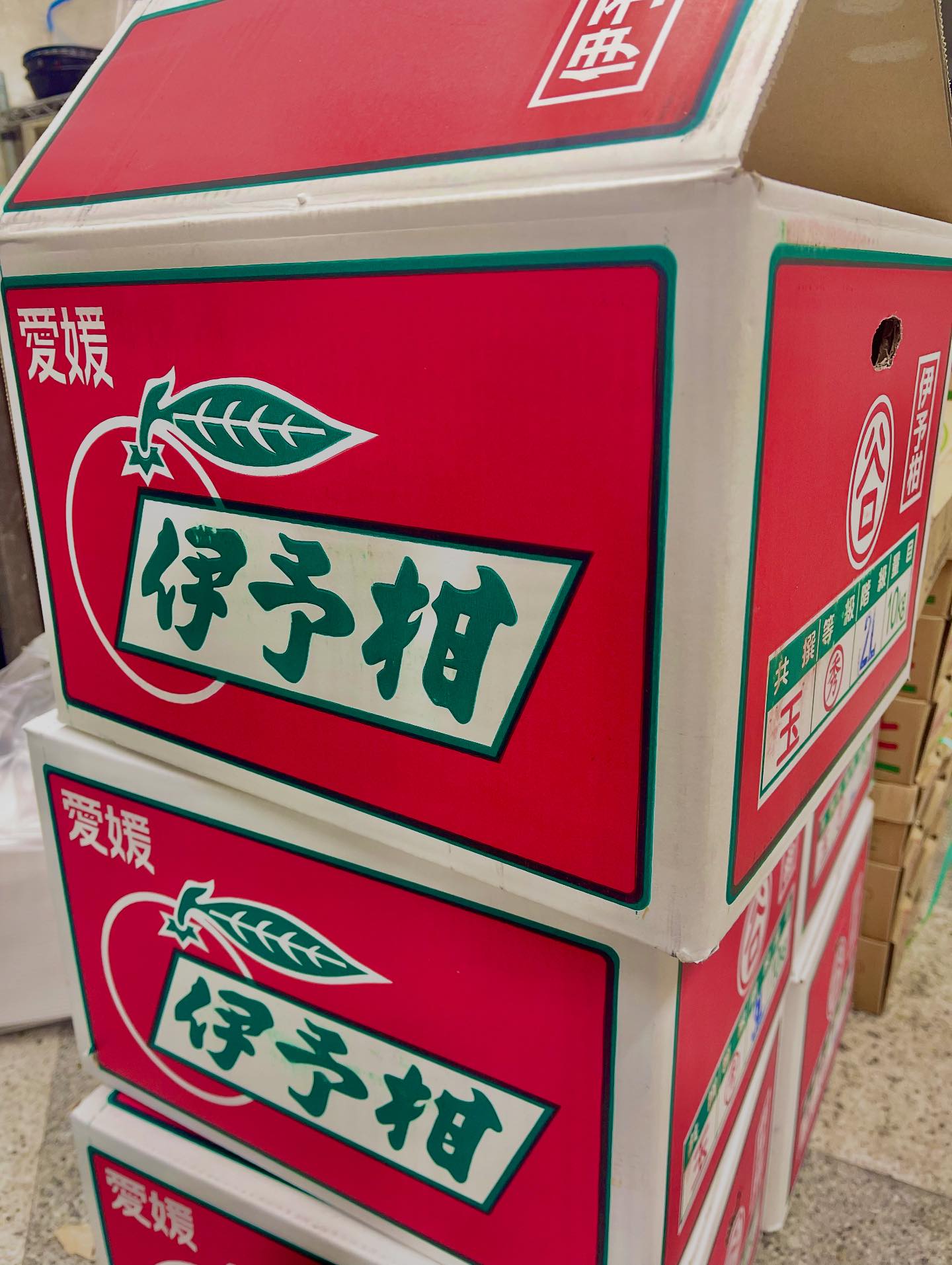 808 青果 店