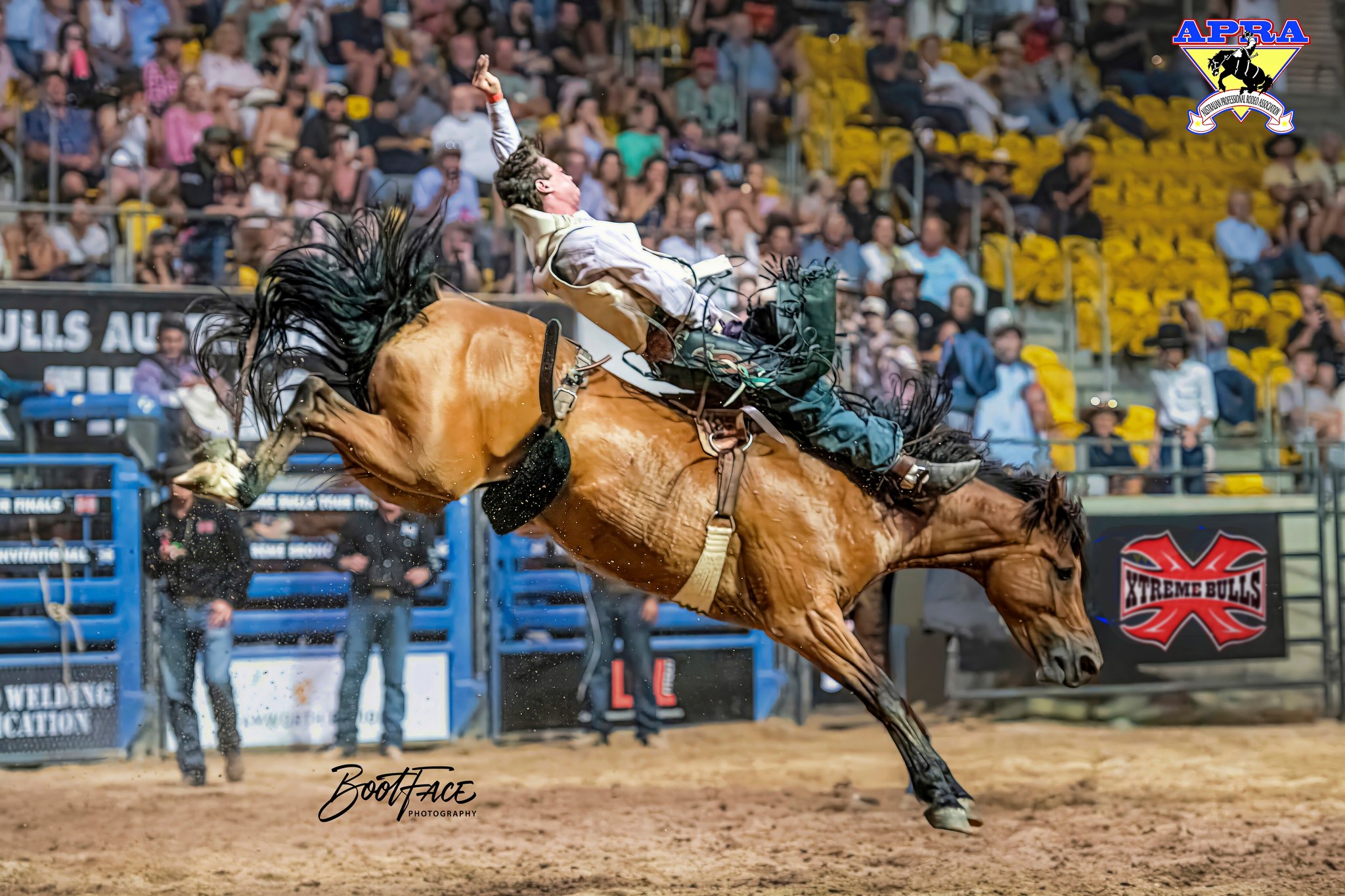 Gill Bros Rodeo | Upper Horton NSW