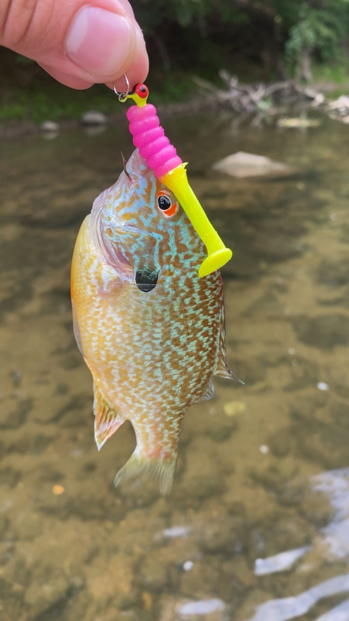 baitcasting rod for beginners Buy Beginner fishing reel Fresh water fishing – Fish With Hanish Tackles Recommended Bass Rod dark tip and a Size:80 Pound How to Choose the
