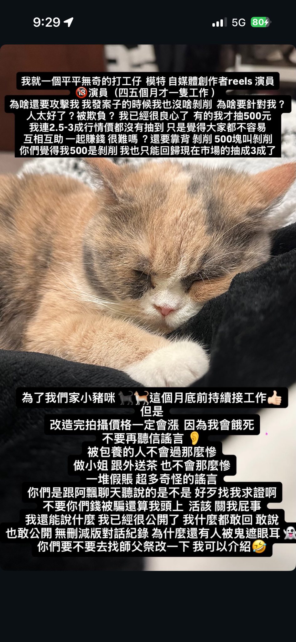 伊芙蝶（周甯）（小貓）